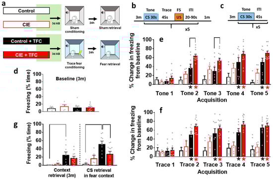 Brainsci 14 00431 g002