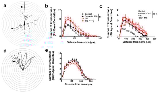 Brainsci 14 00431 g003
