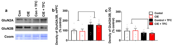 Brainsci 14 00431 g004