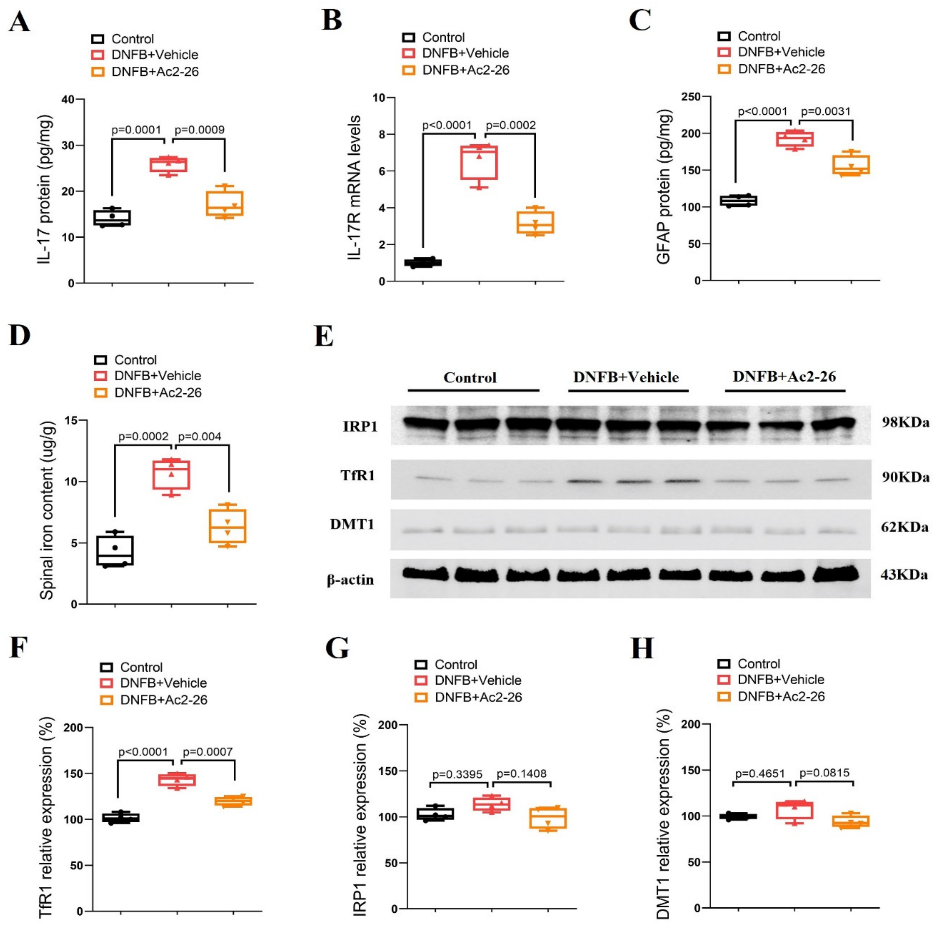 Brainsci 14 00440 g002