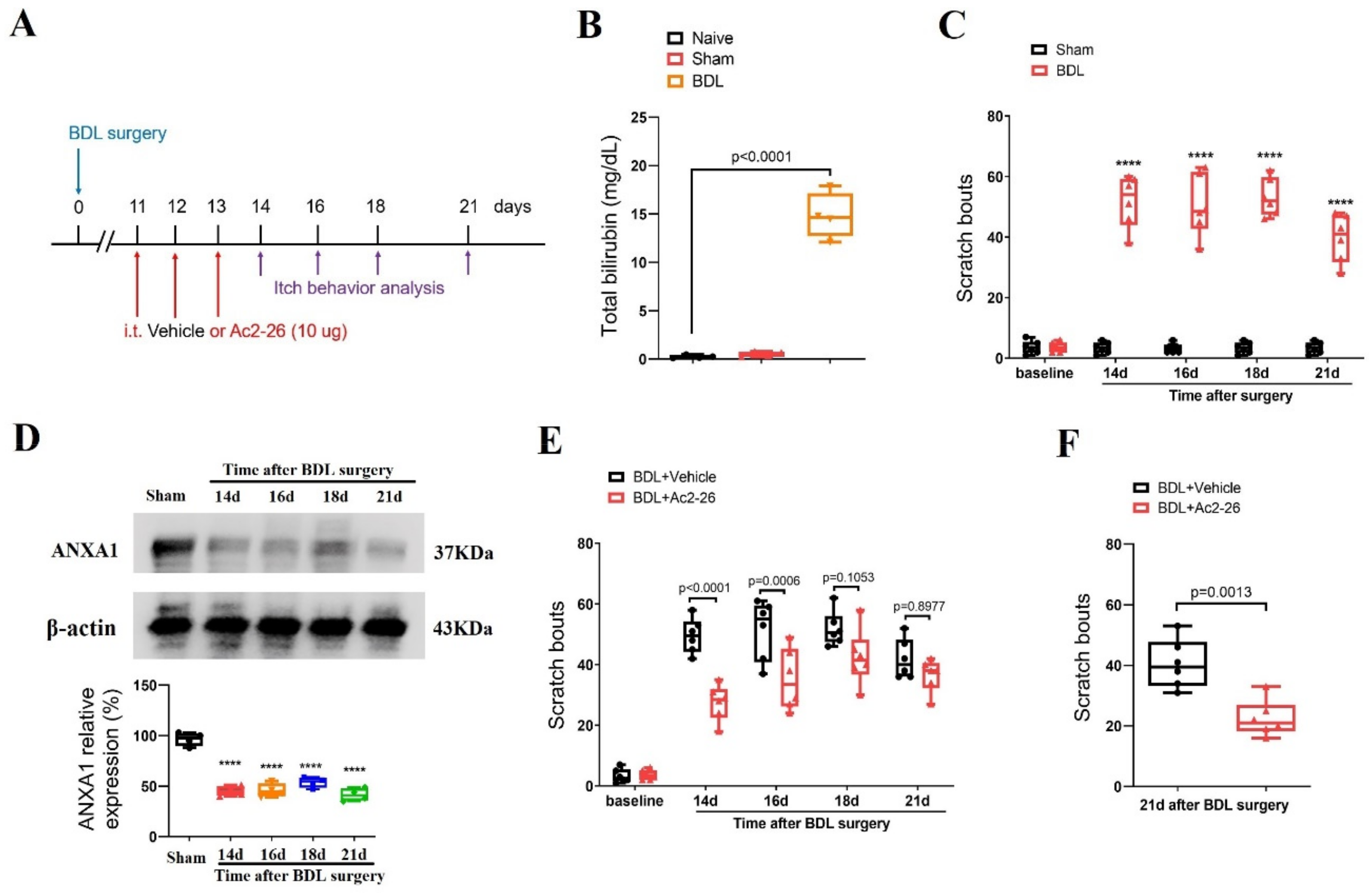Brainsci 14 00440 g003