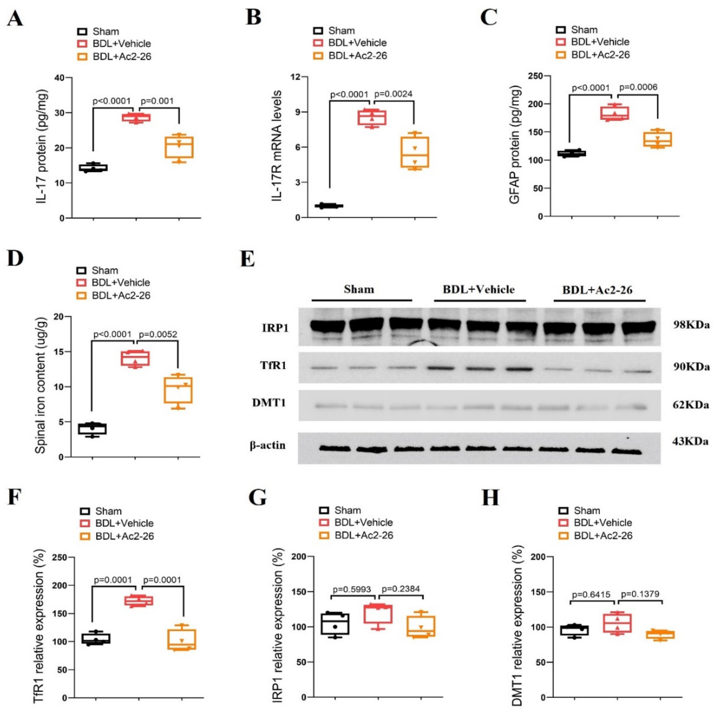 Brainsci 14 00440 g004