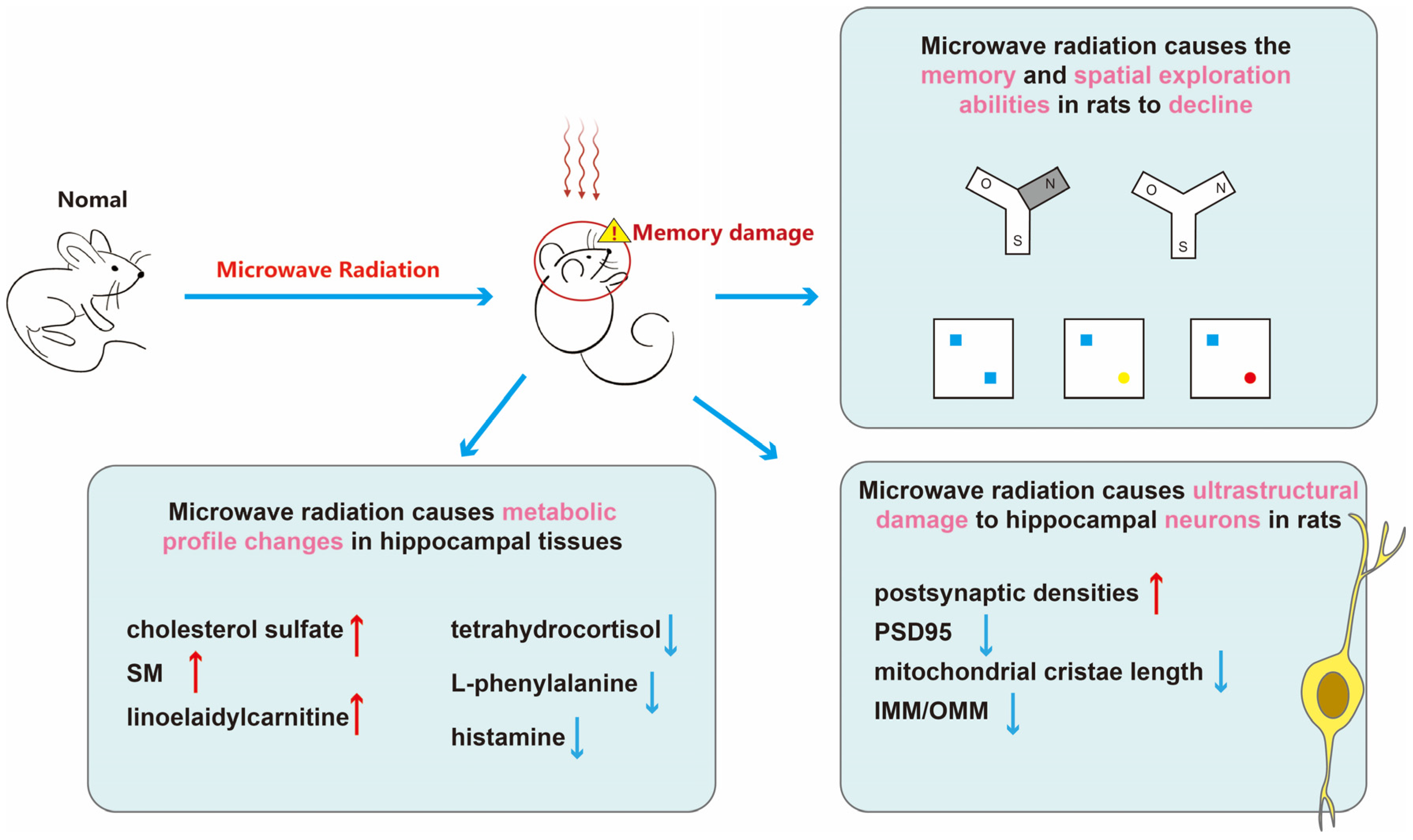 Brainsci 14 00441 g007