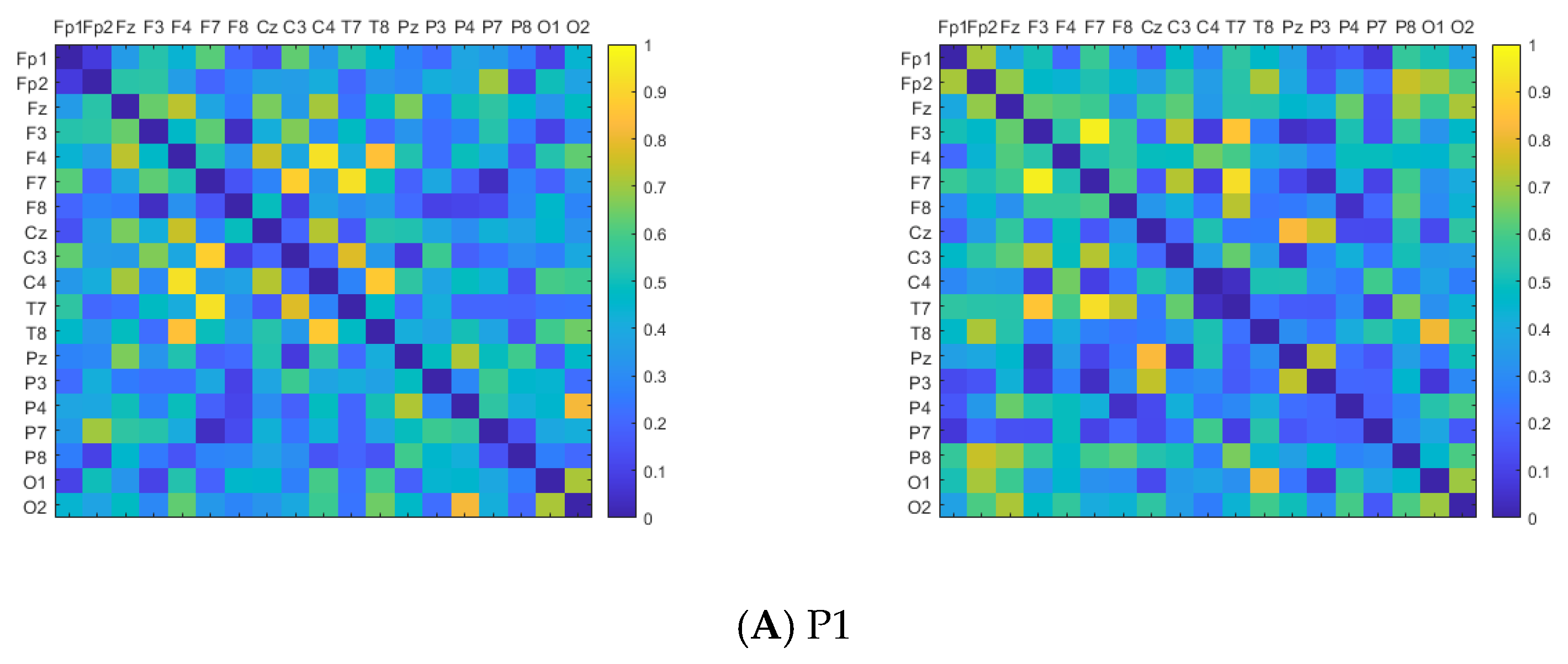Brainsci 14 00448 g004a