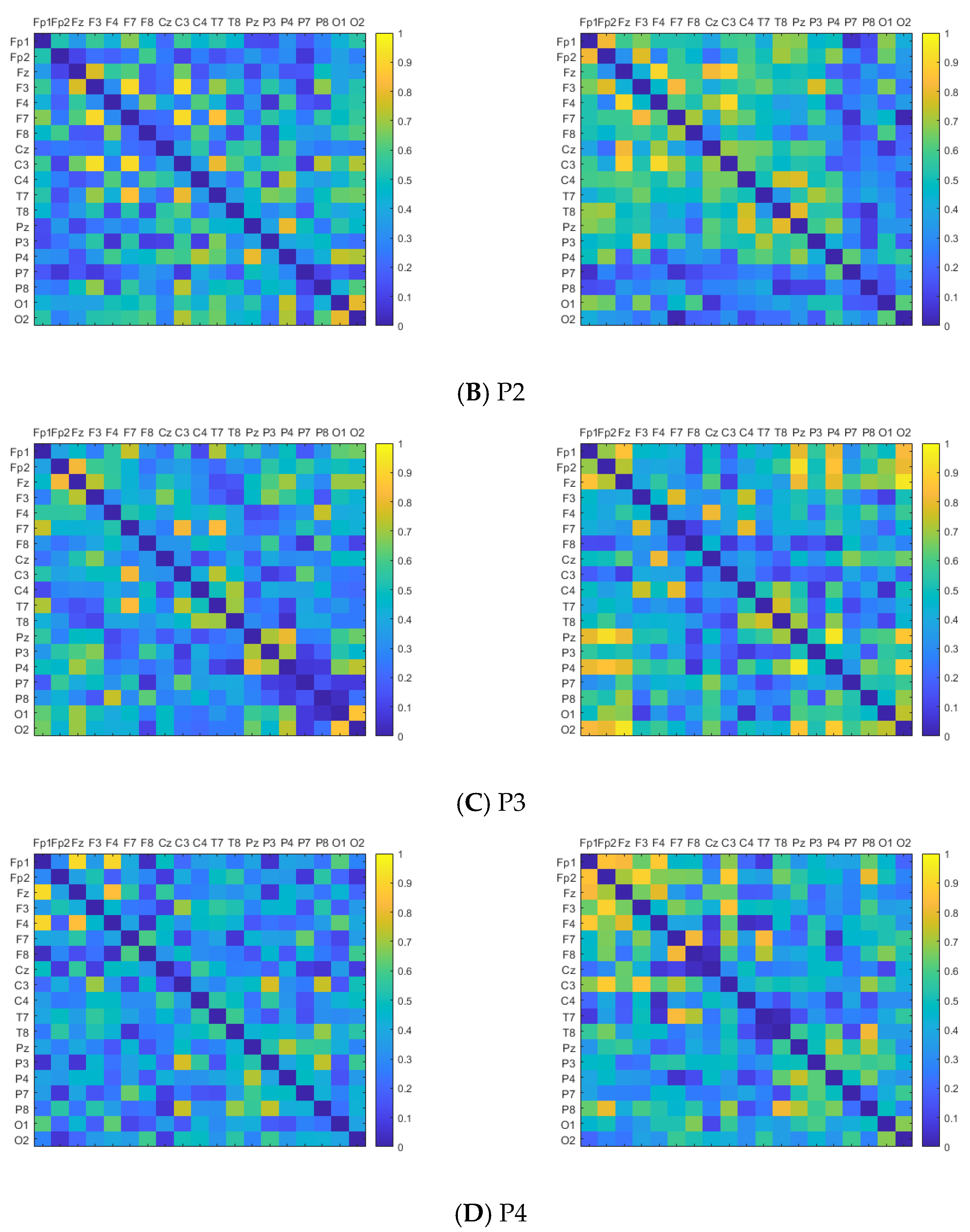 Brainsci 14 00448 g004b