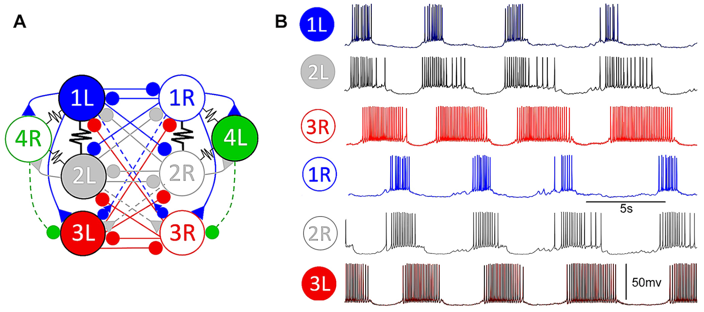 Brainsci 14 00468 g001