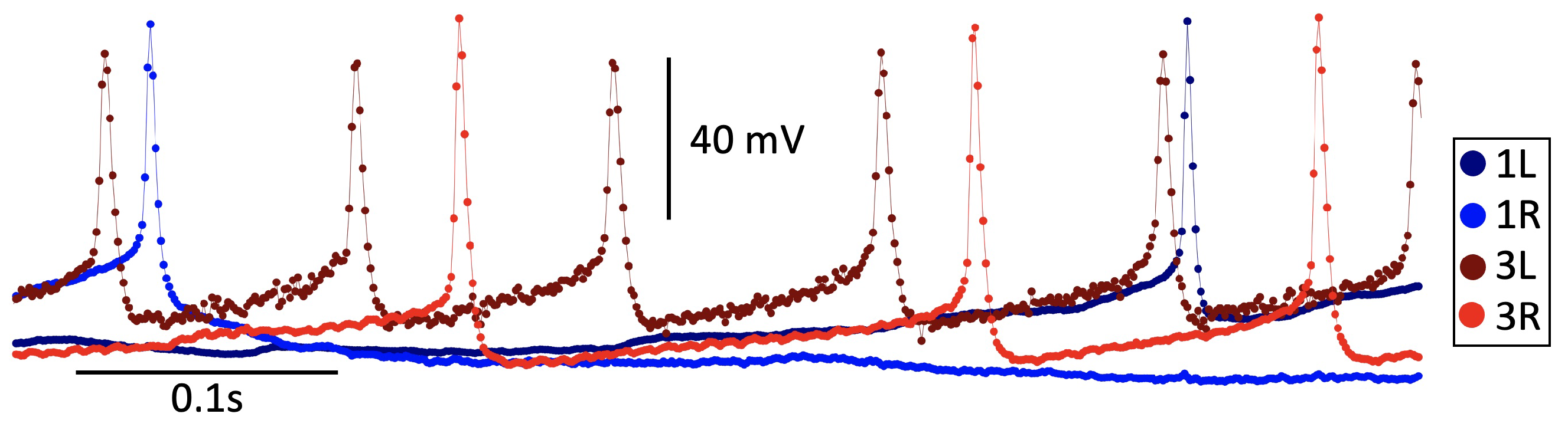 Brainsci 14 00468 g003