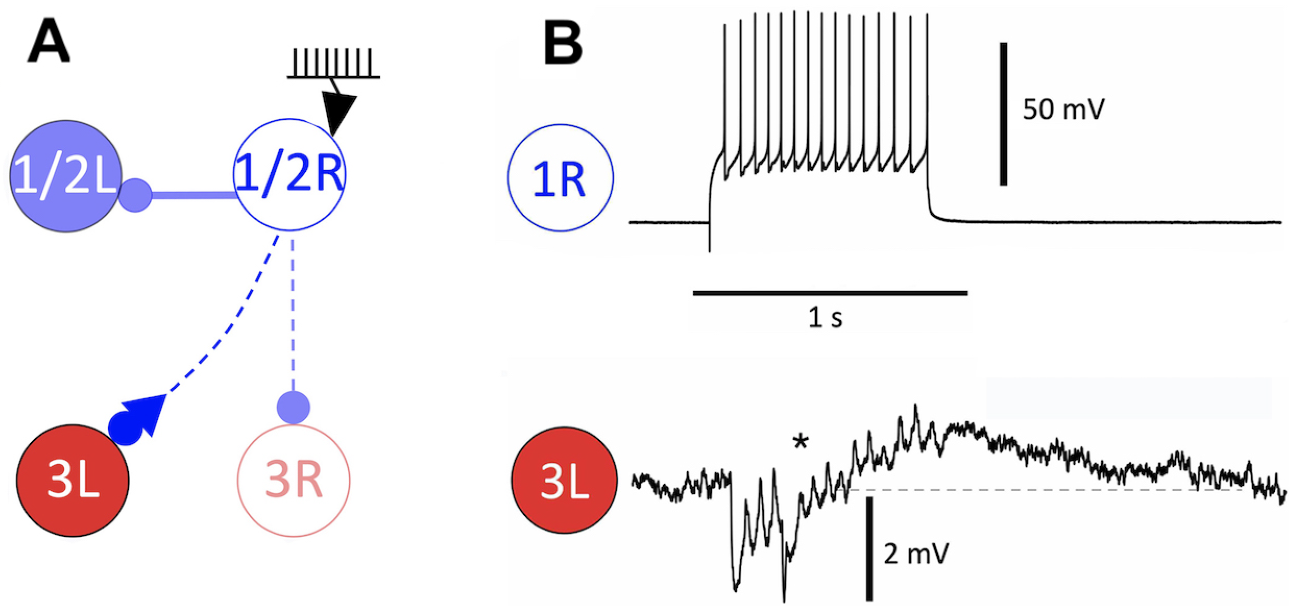 Brainsci 14 00468 g005