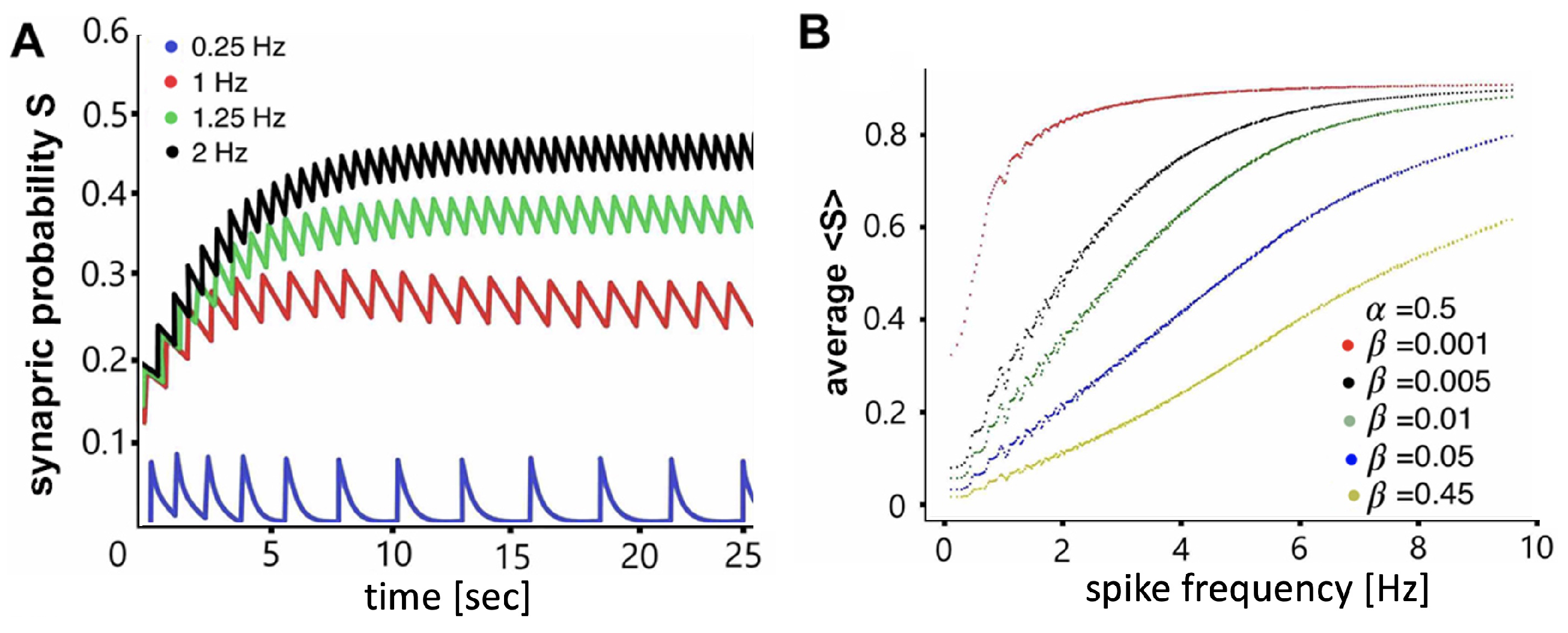Brainsci 14 00468 g006