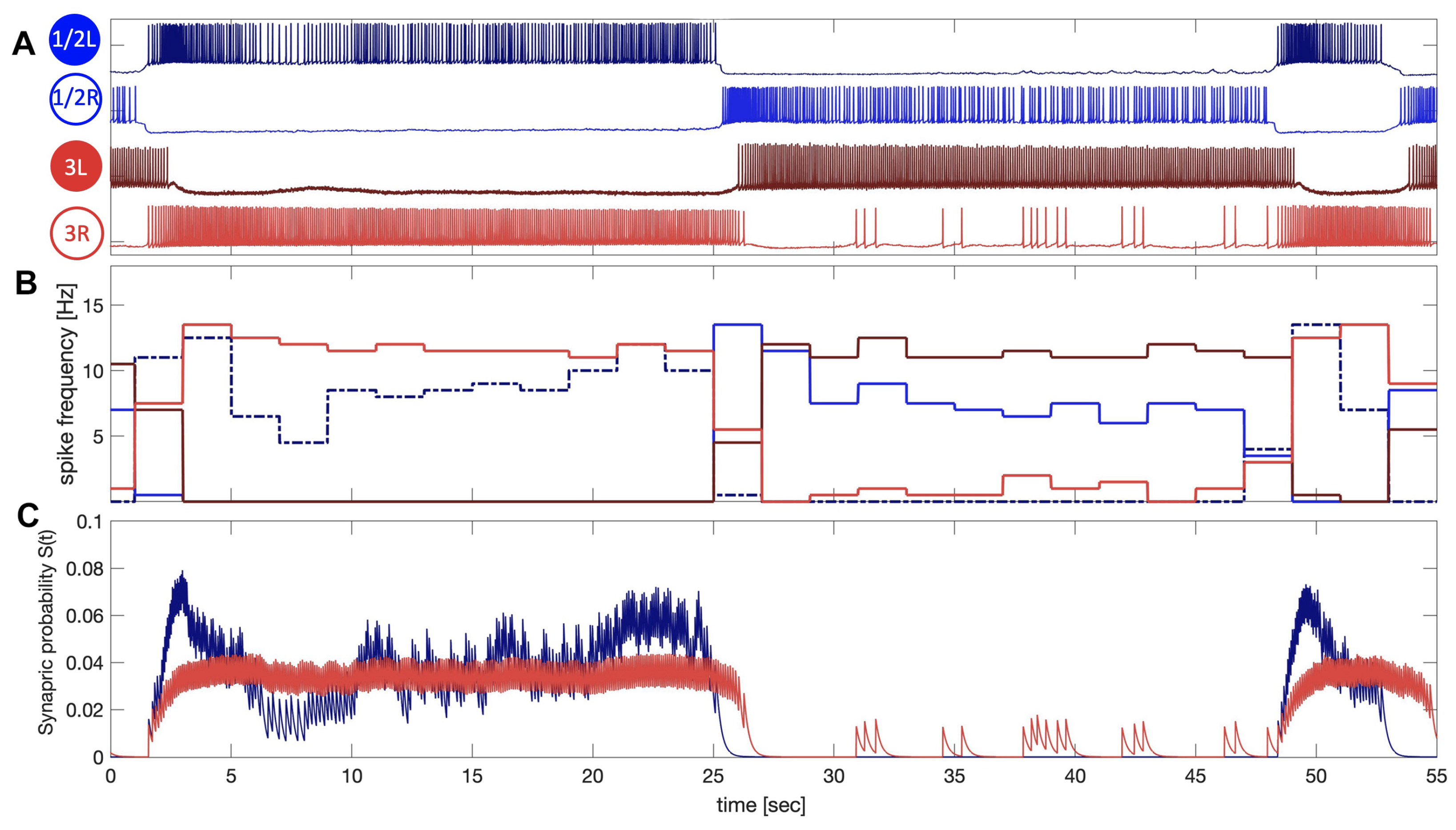 Brainsci 14 00468 g007