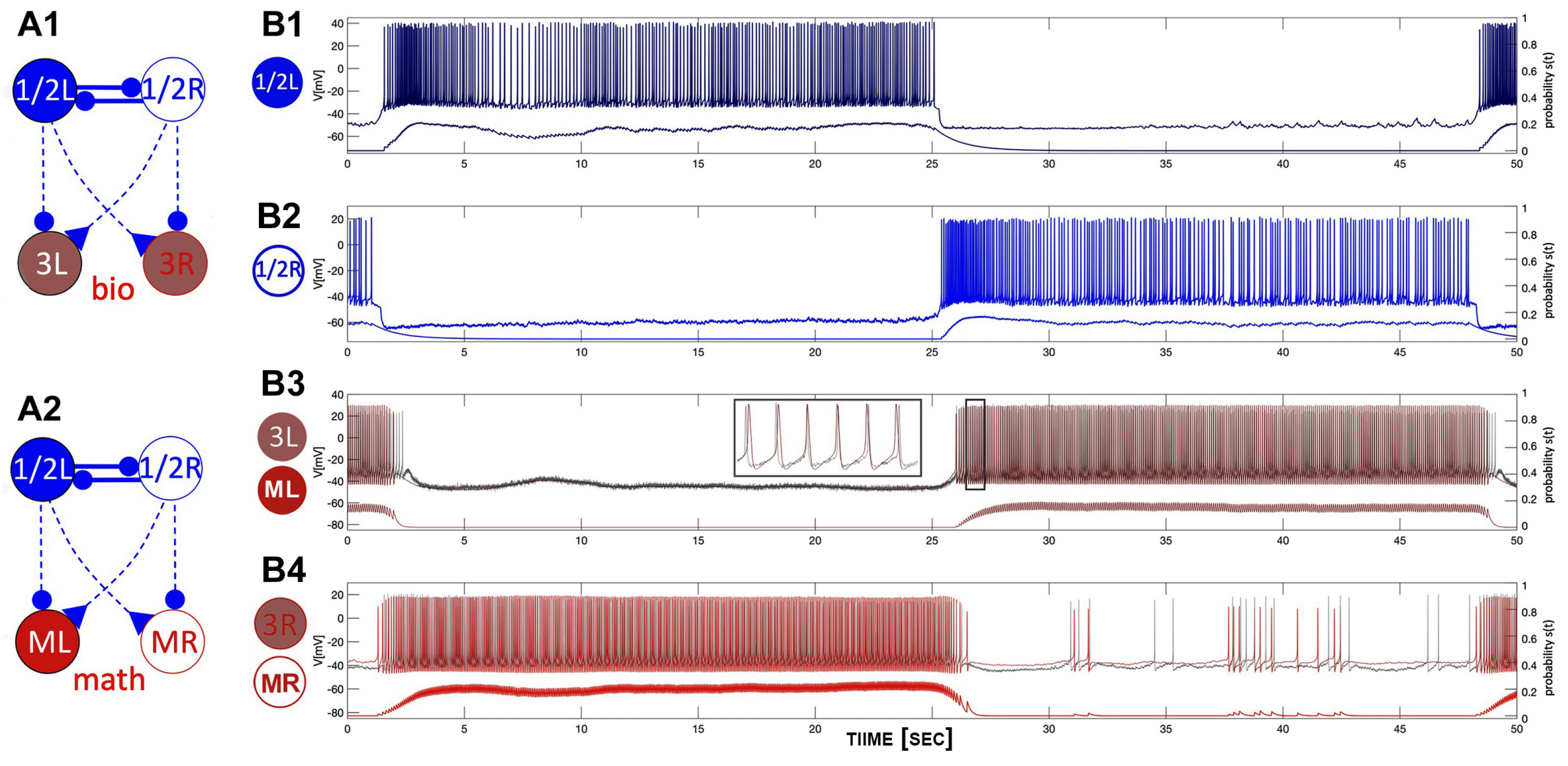 Brainsci 14 00468 g008