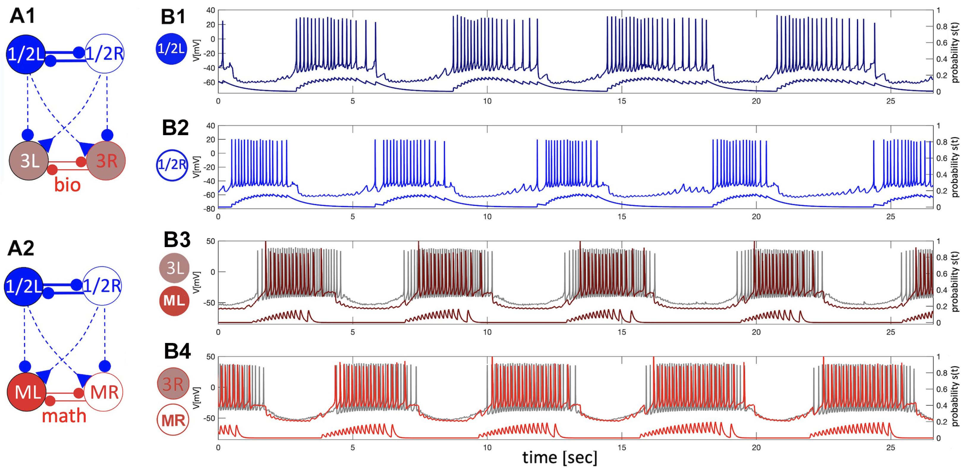 Brainsci 14 00468 g009