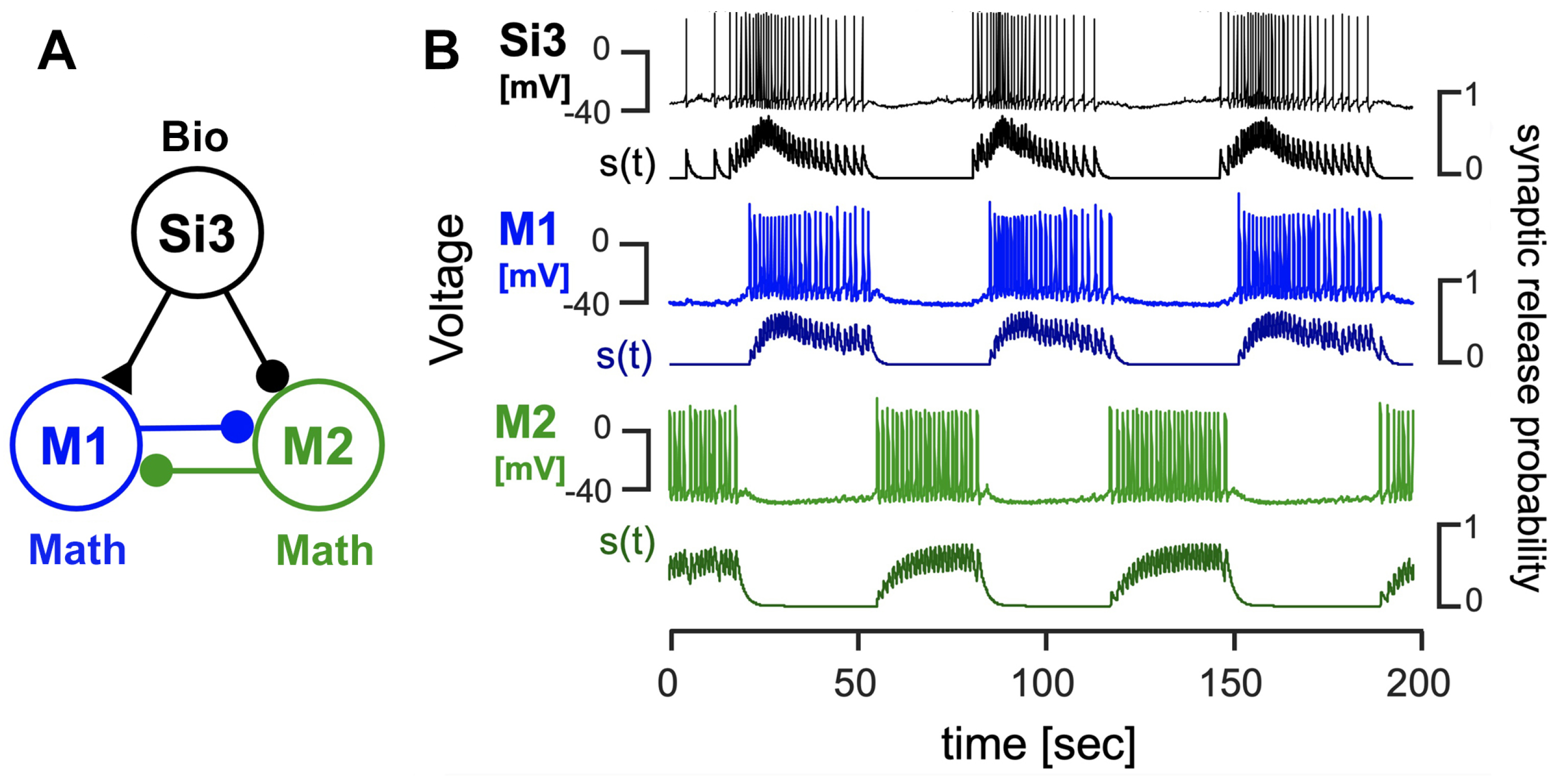Brainsci 14 00468 g011