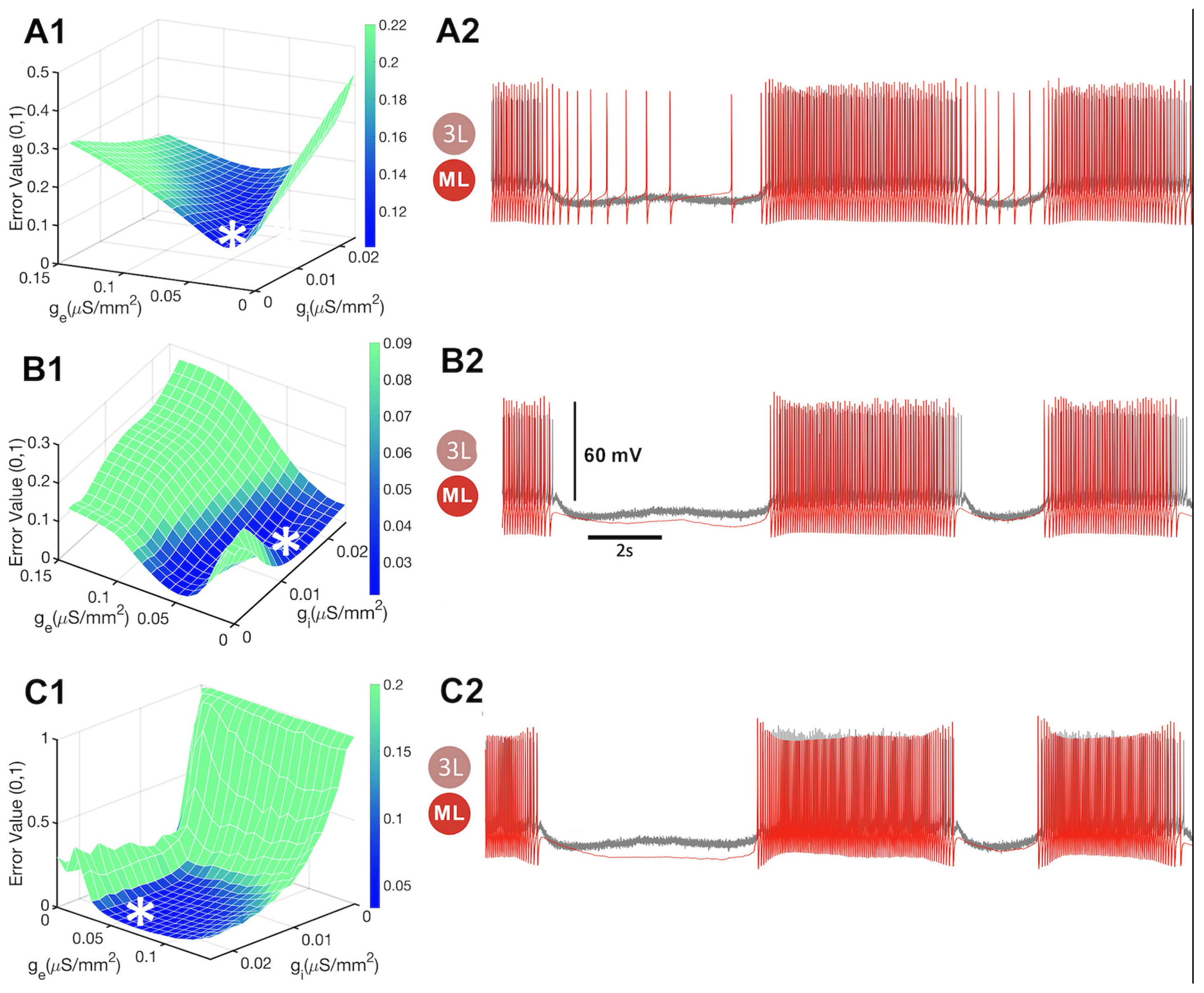 Brainsci 14 00468 g014