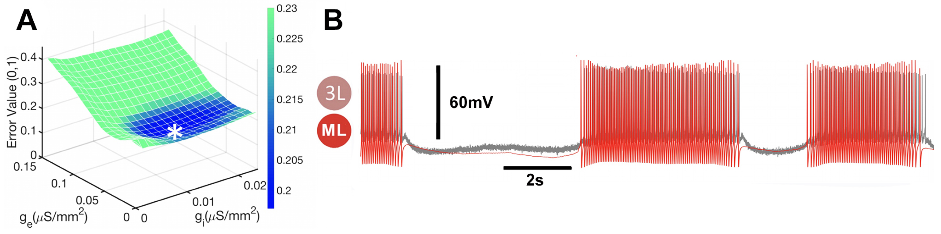 Brainsci 14 00468 g015