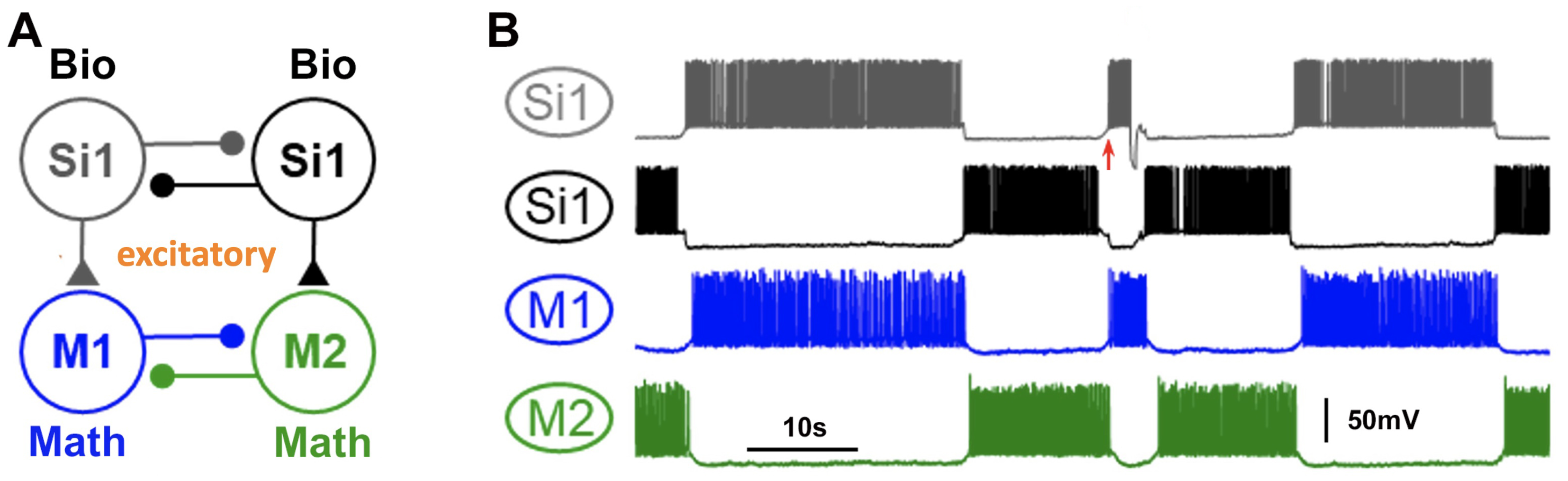 Brainsci 14 00468 g017