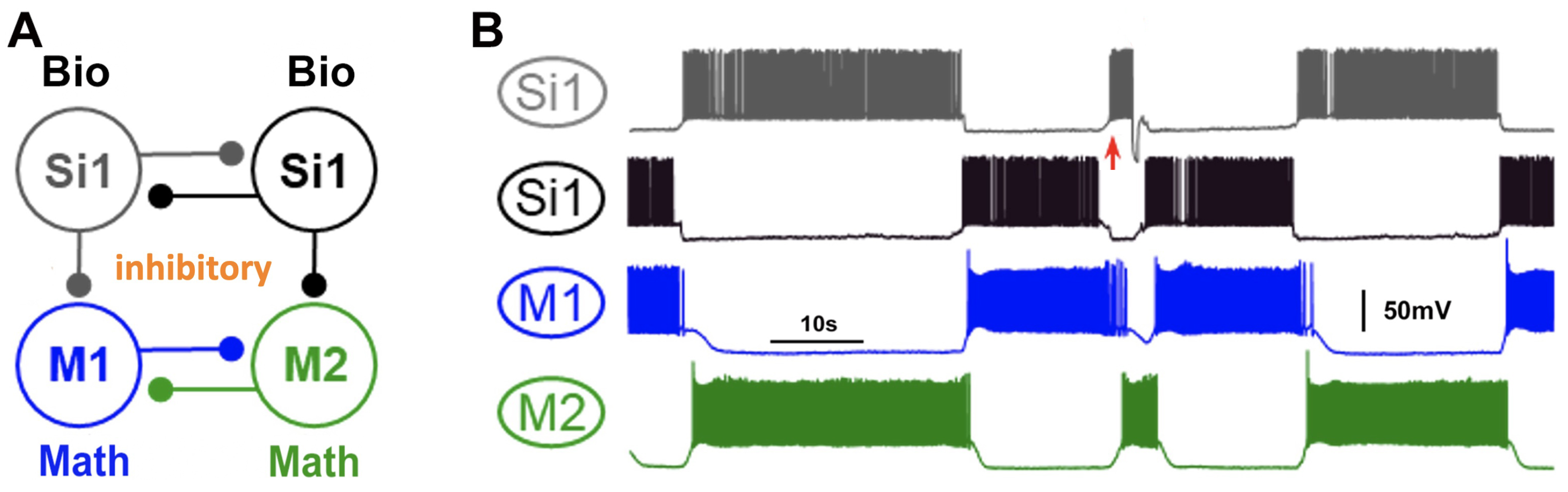 Brainsci 14 00468 g018