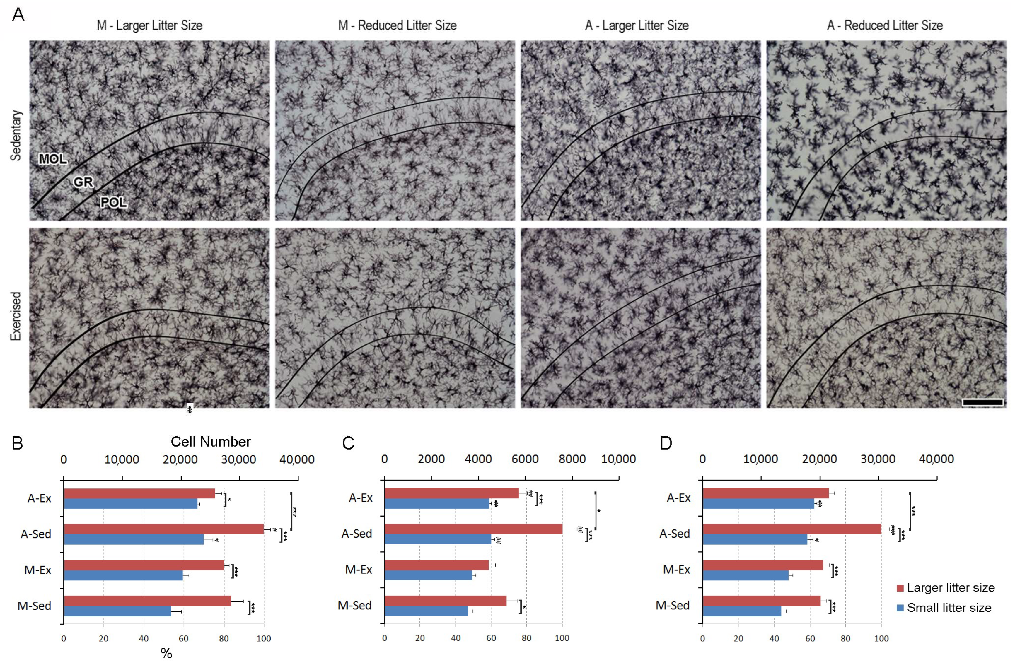 Brainsci 14 00497 g006