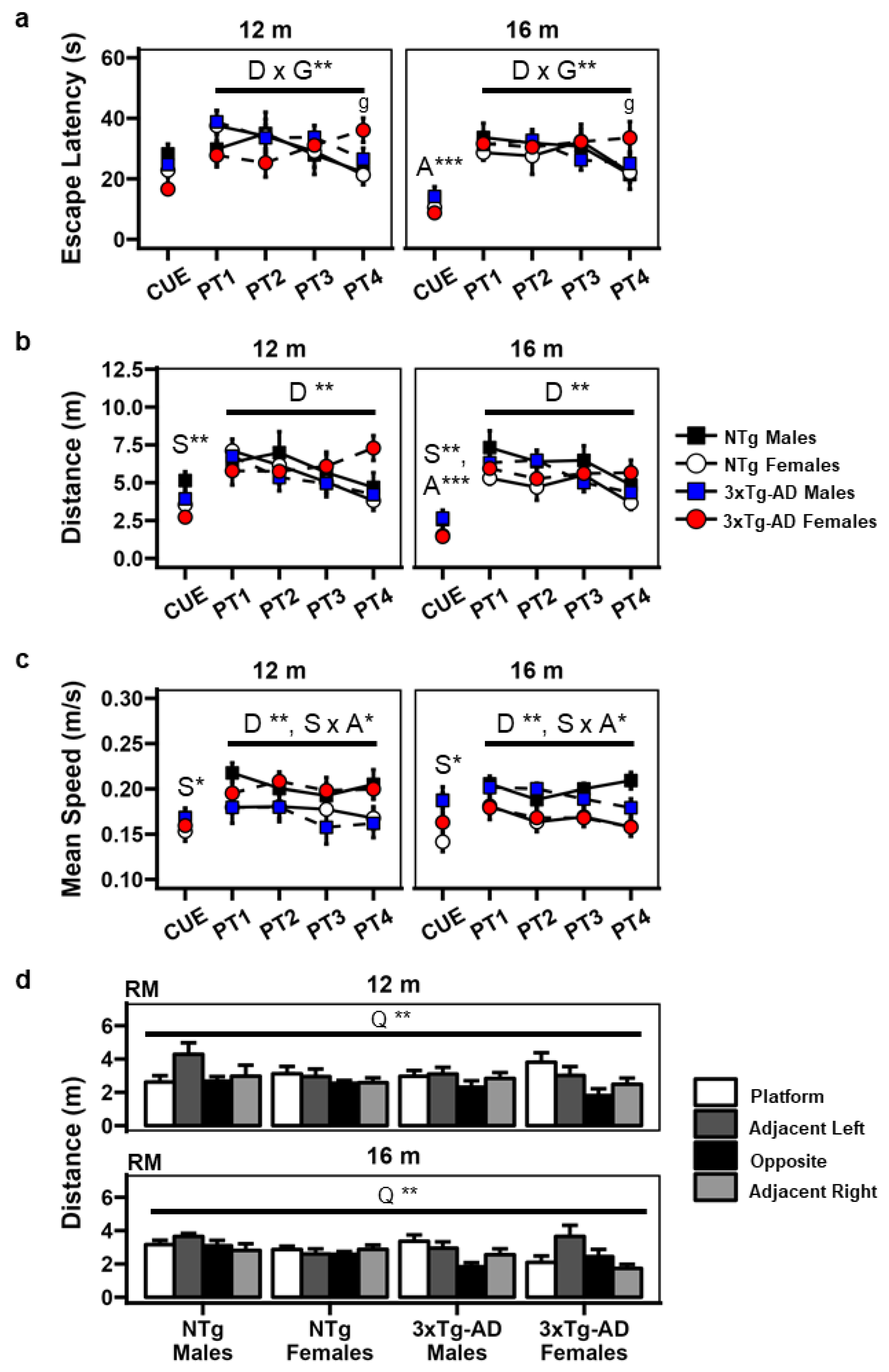 Brainsci 14 00501 g002 Brainsci 14 00501 g002