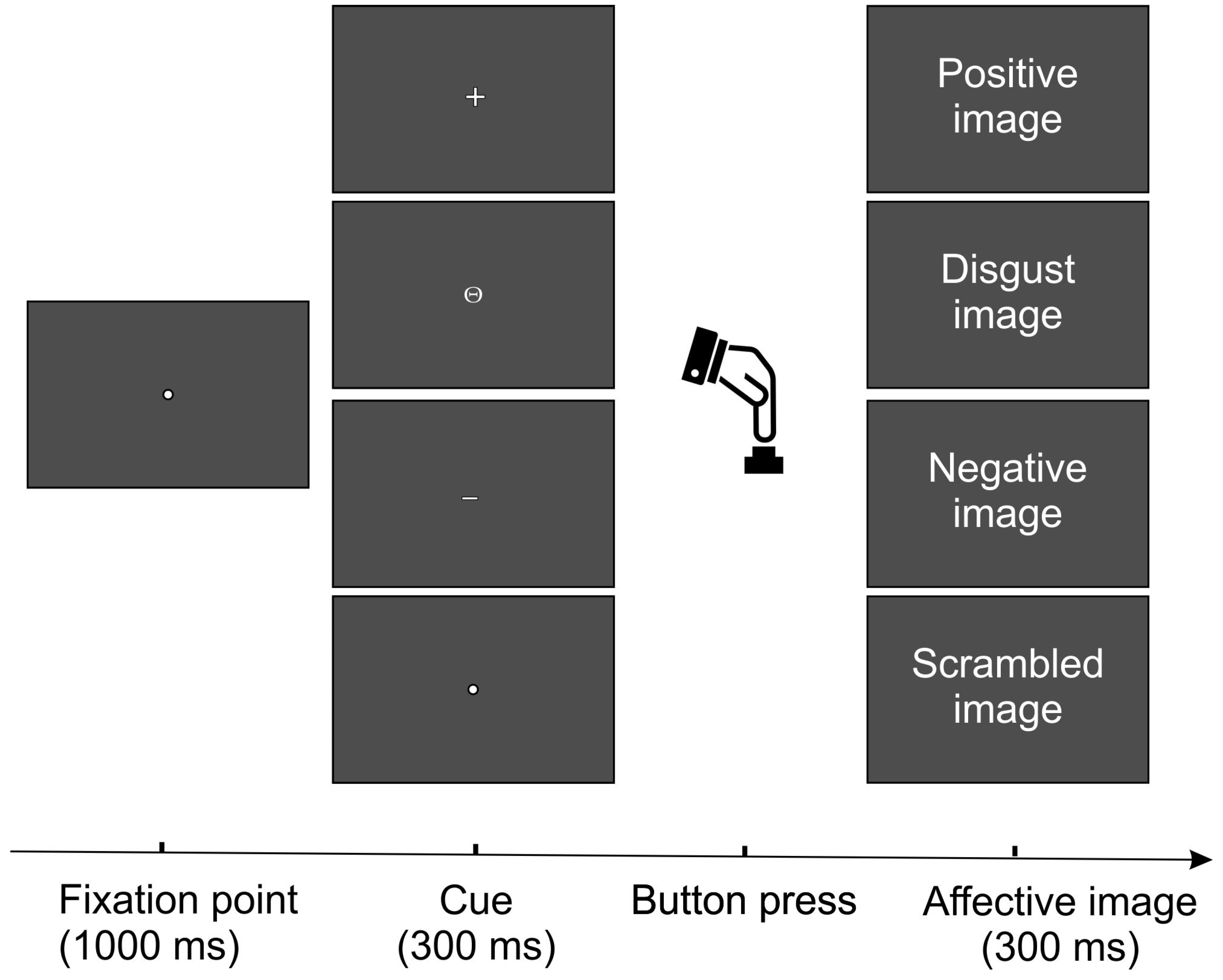 Brainsci 14 00525 g001