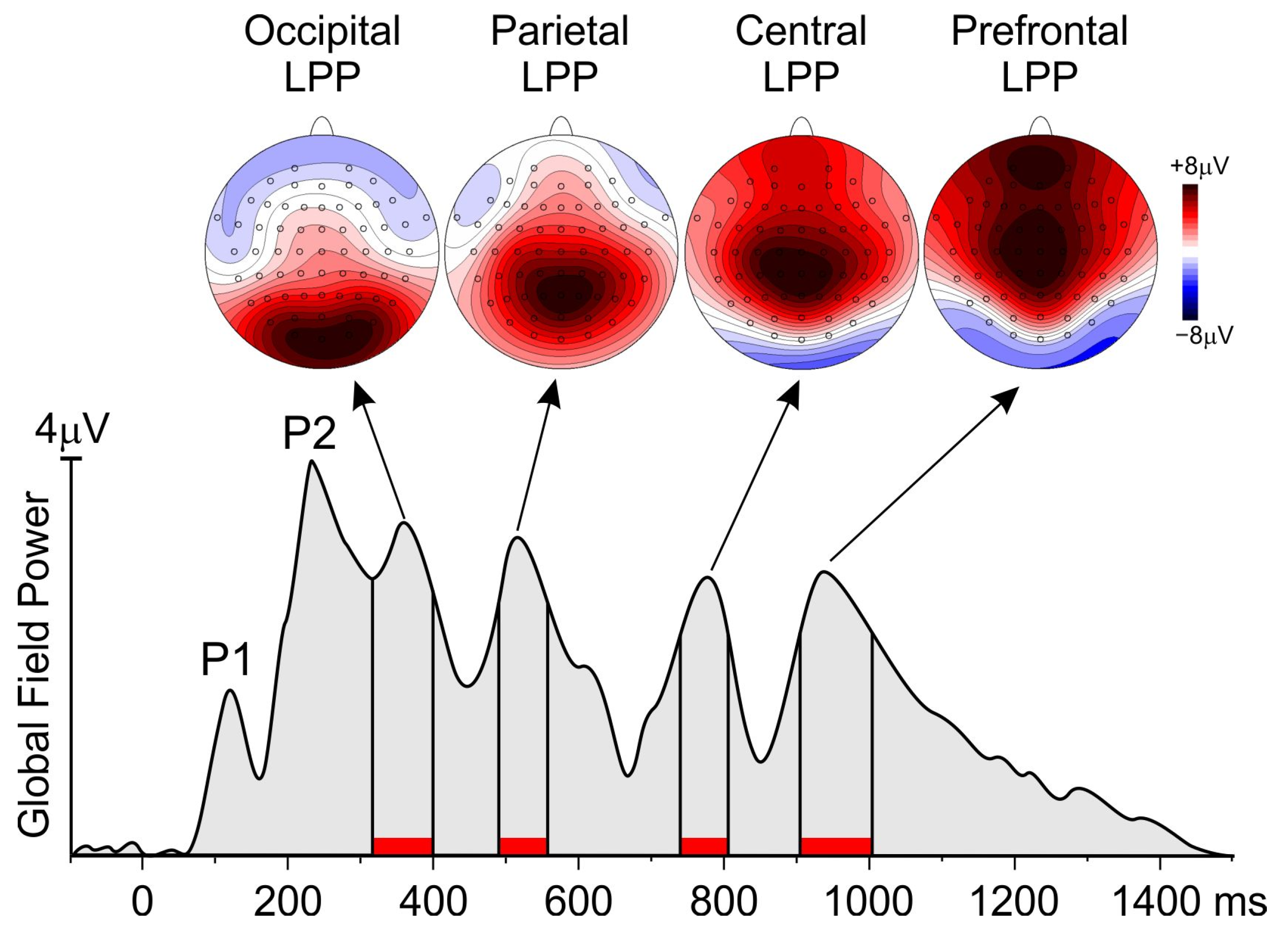 Brainsci 14 00525 g002