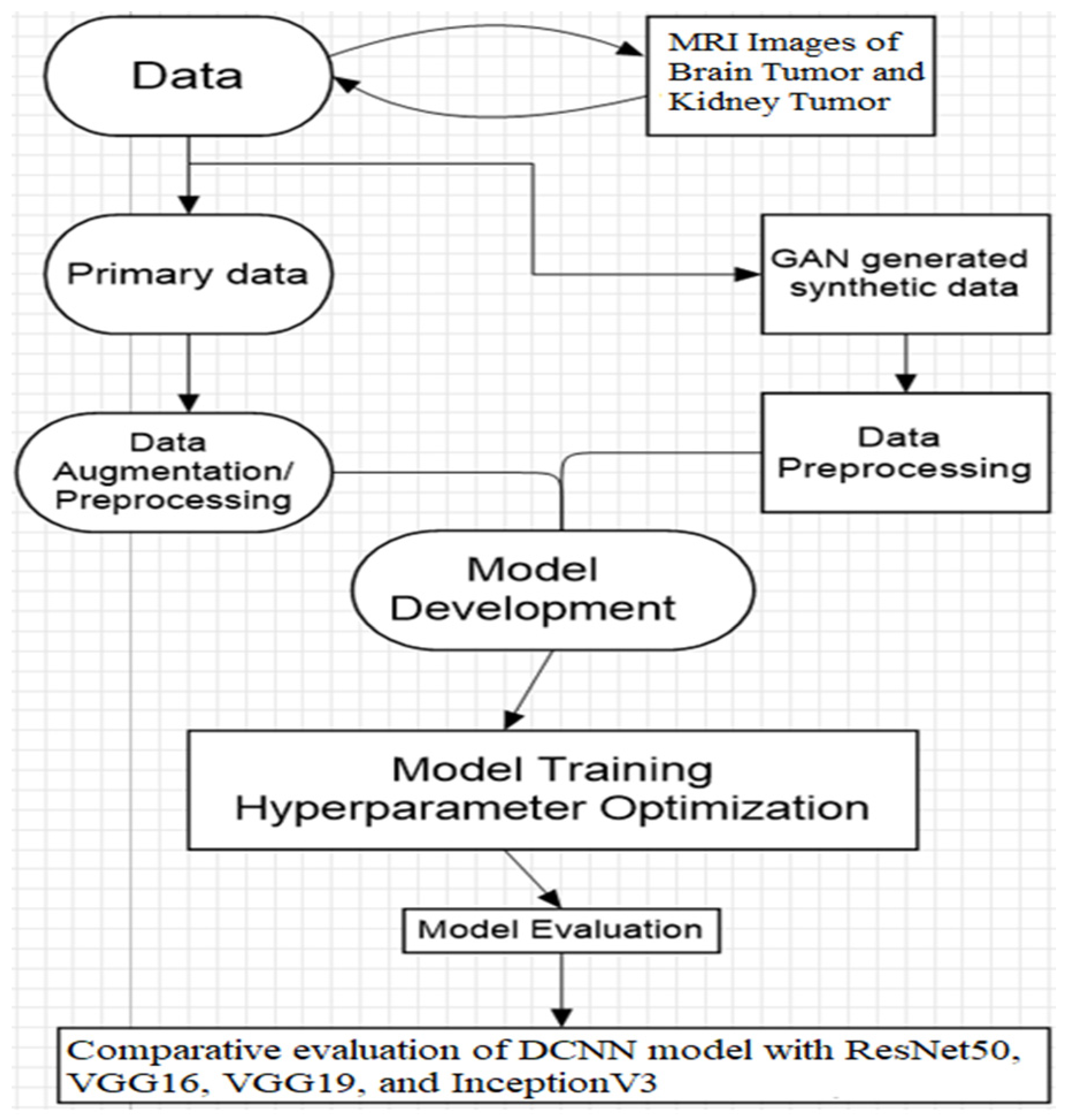 Brainsci 14 00559 g001