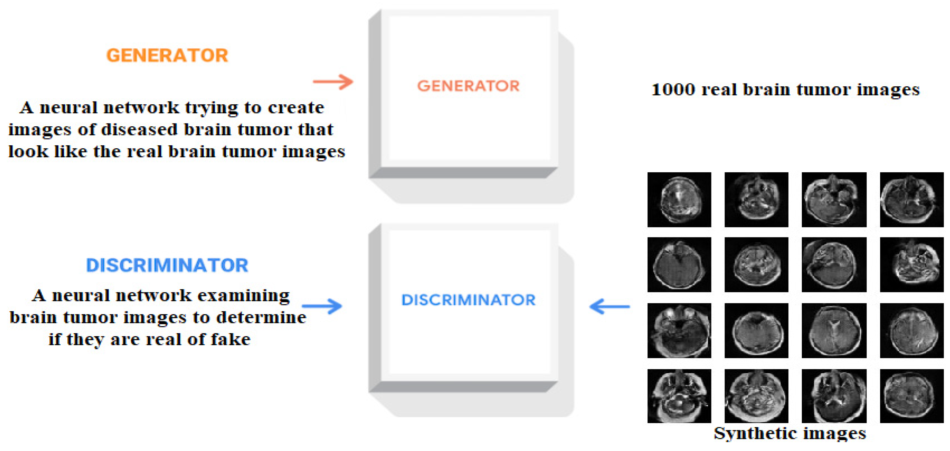 Brainsci 14 00559 g003