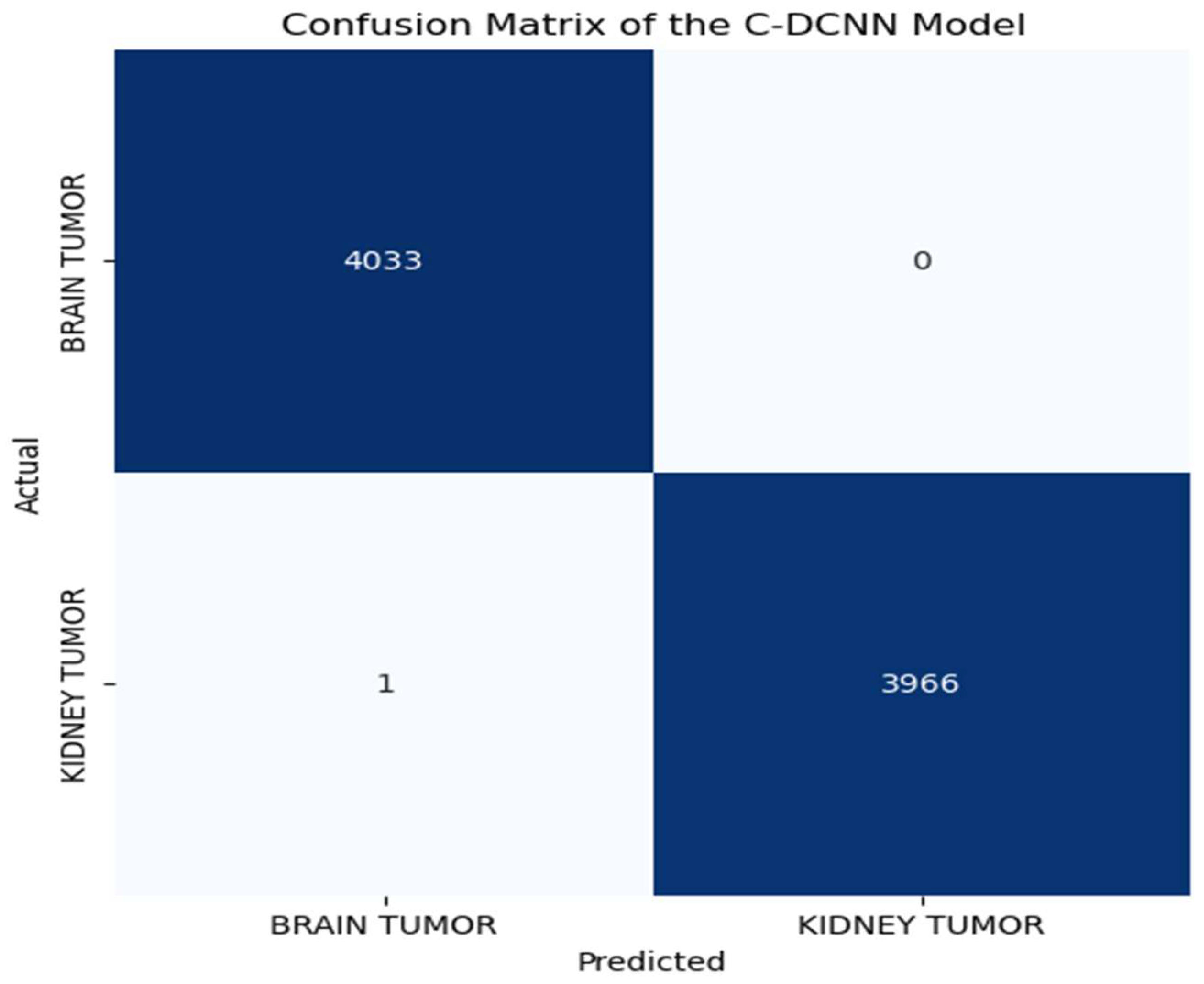 Brainsci 14 00559 g007
