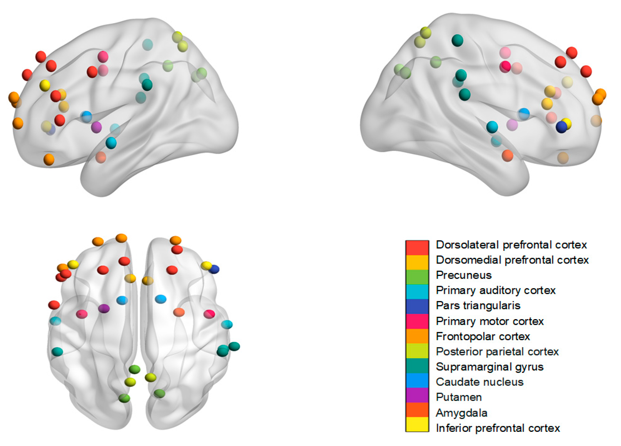 Brainsci 14 00562 g001