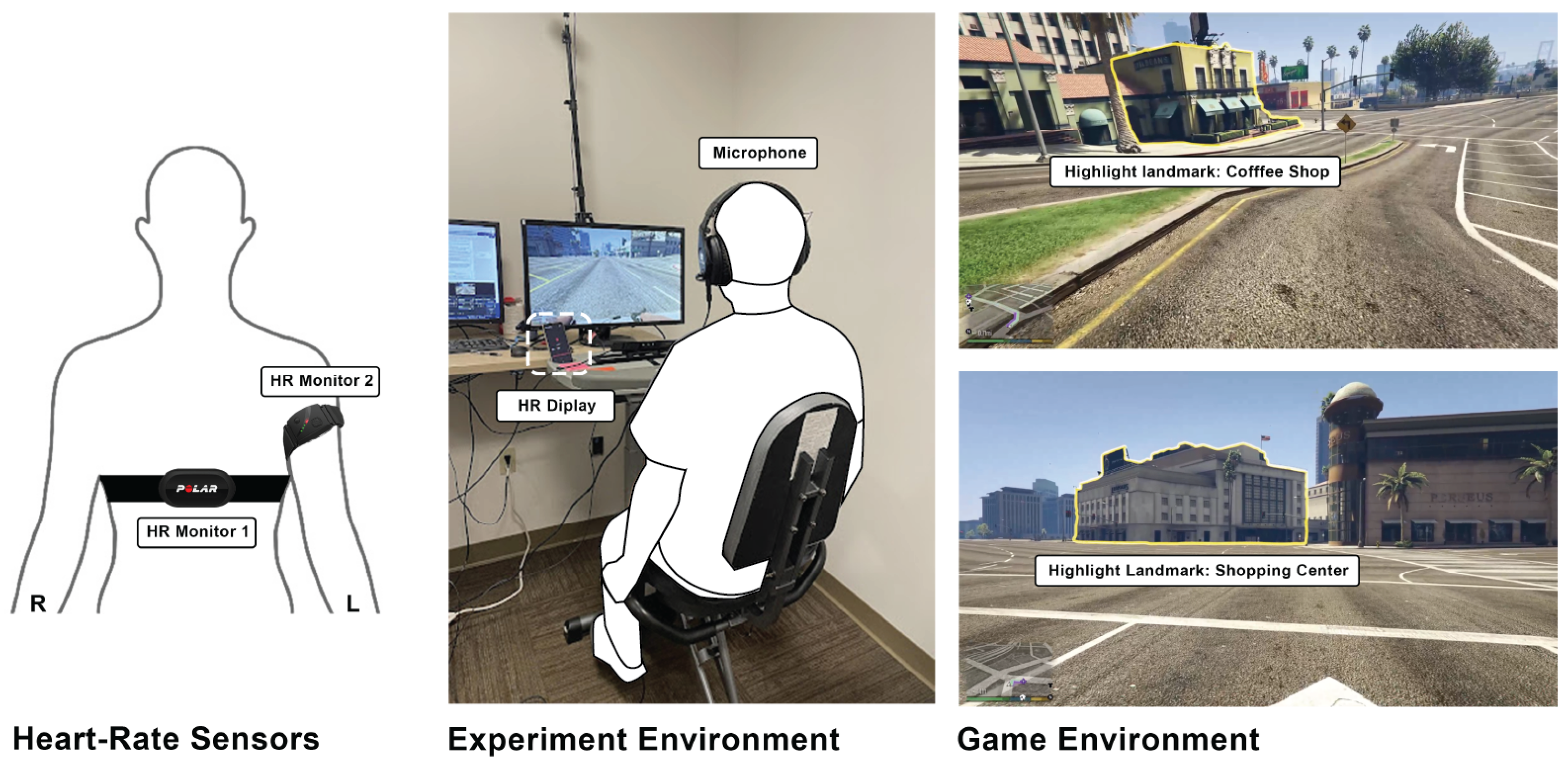 Brainsci 14 00572 g001