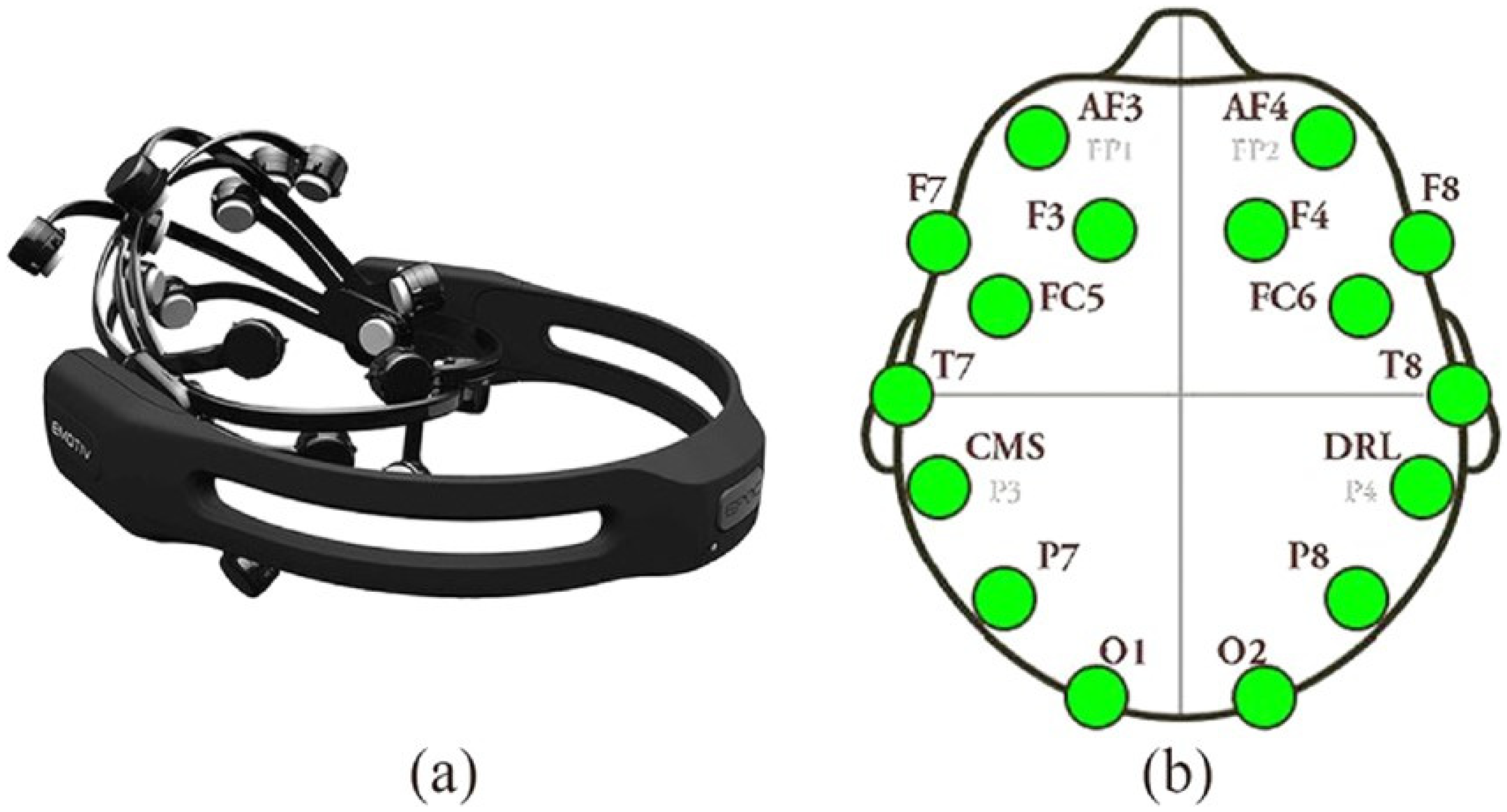 Brainsci 14 00578 g001