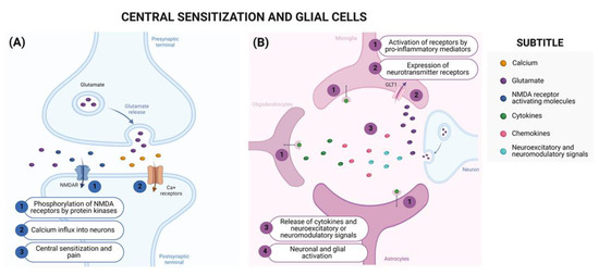 Brainsci 14 00589 g003