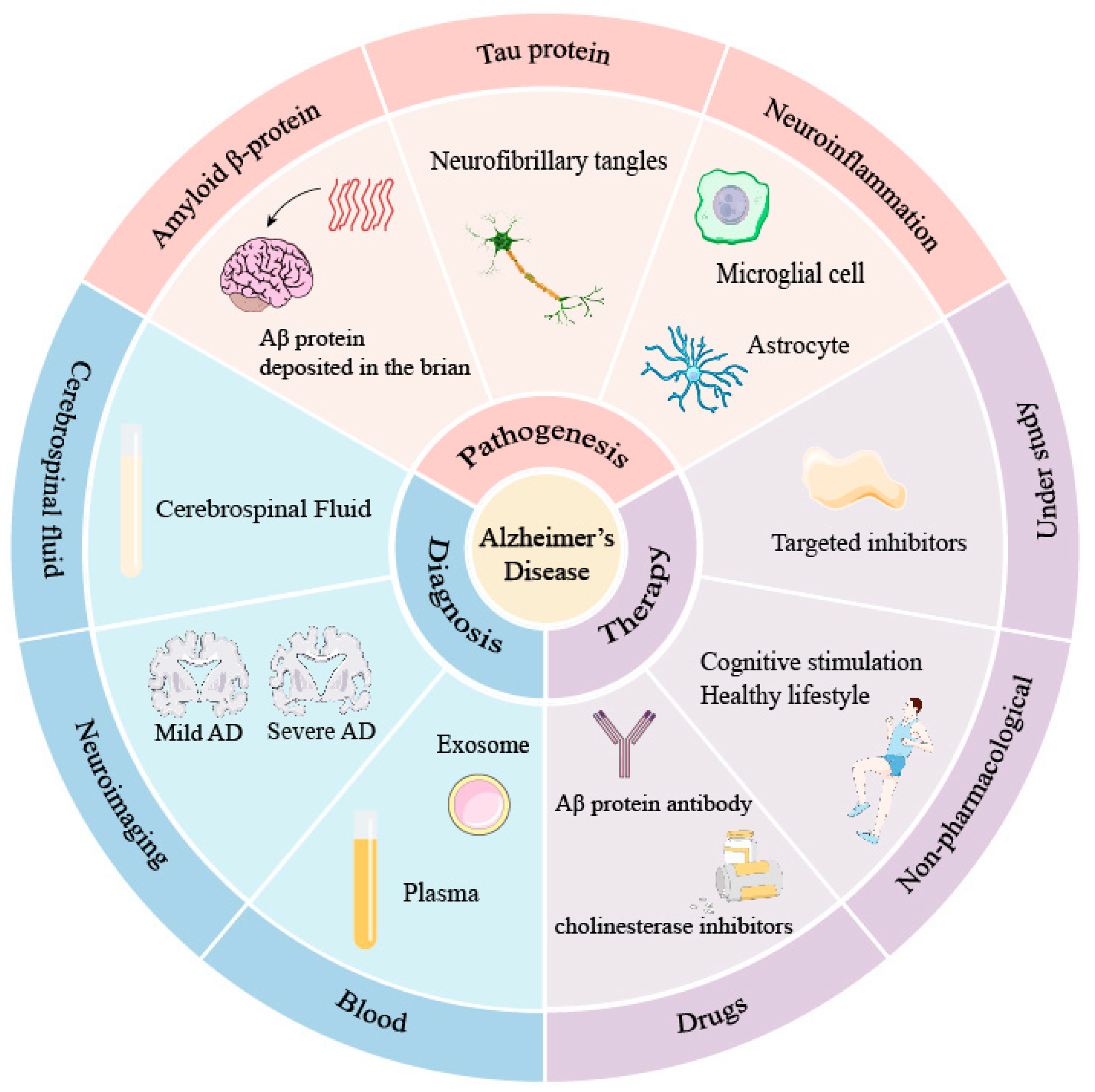 Brainsci 14 00590 g001