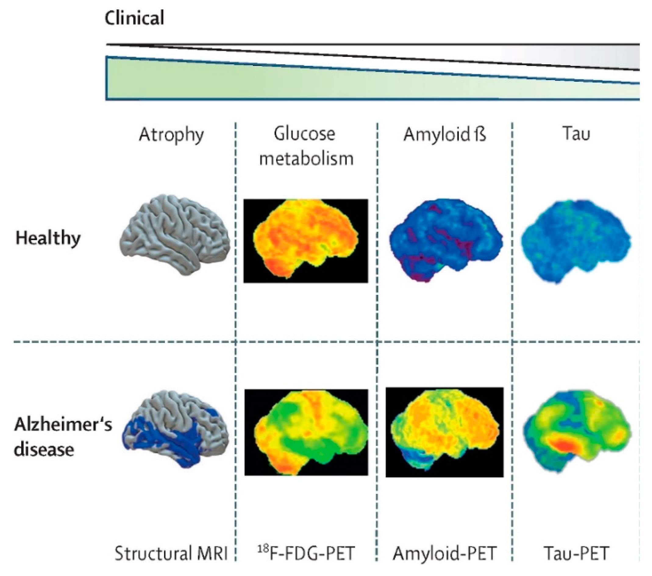 Brainsci 14 00590 g003