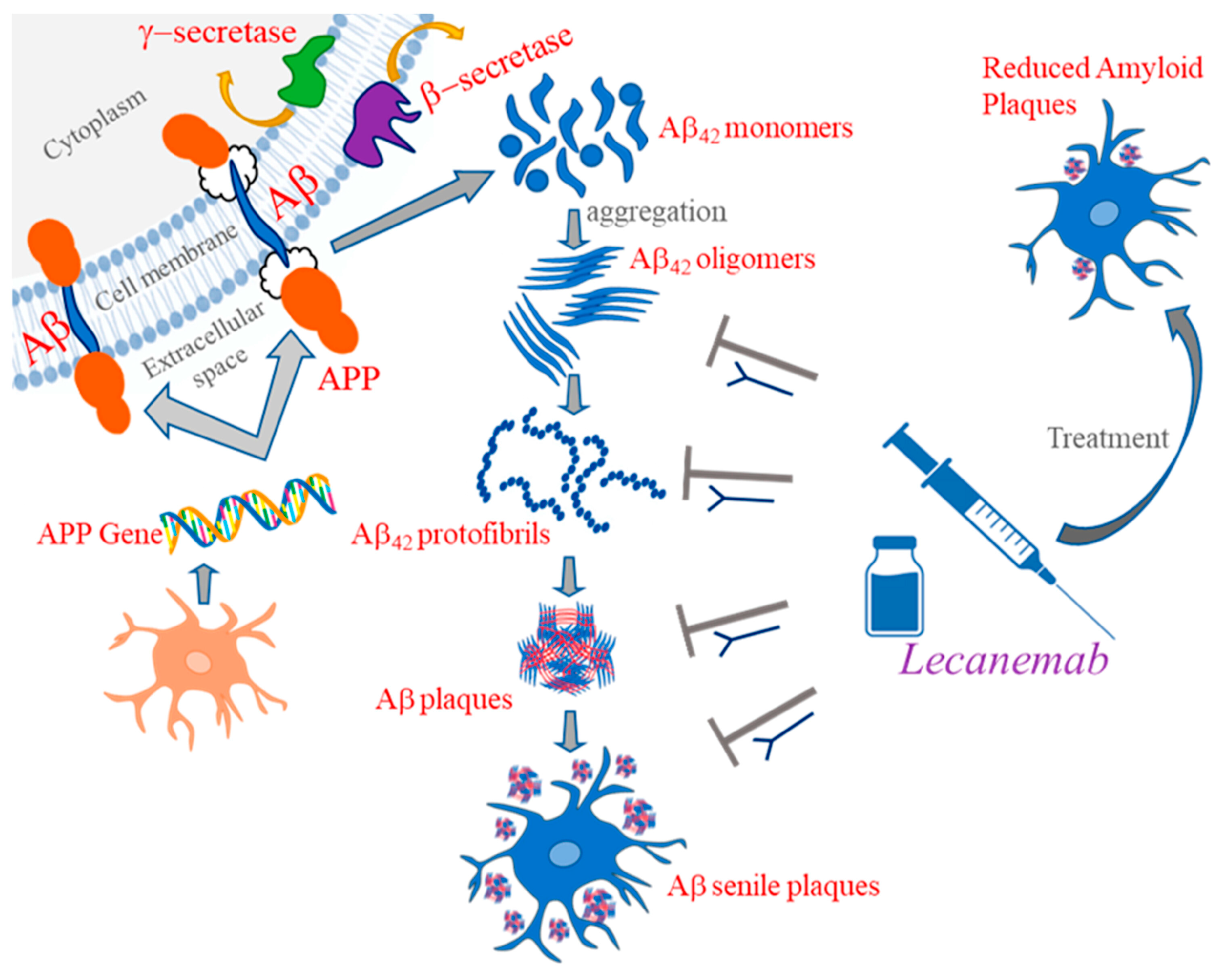 Brainsci 14 00590 g005