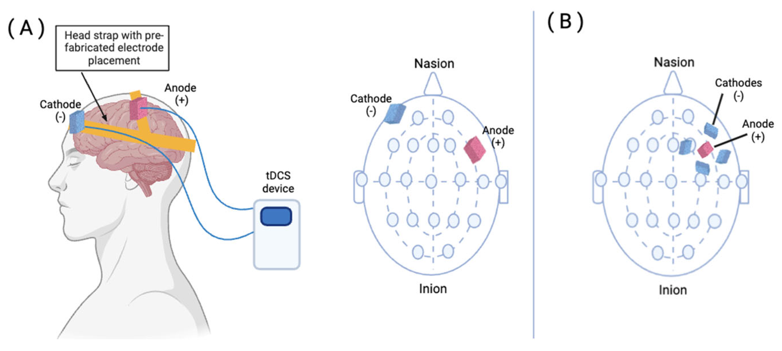 Brainsci 14 00614 g001