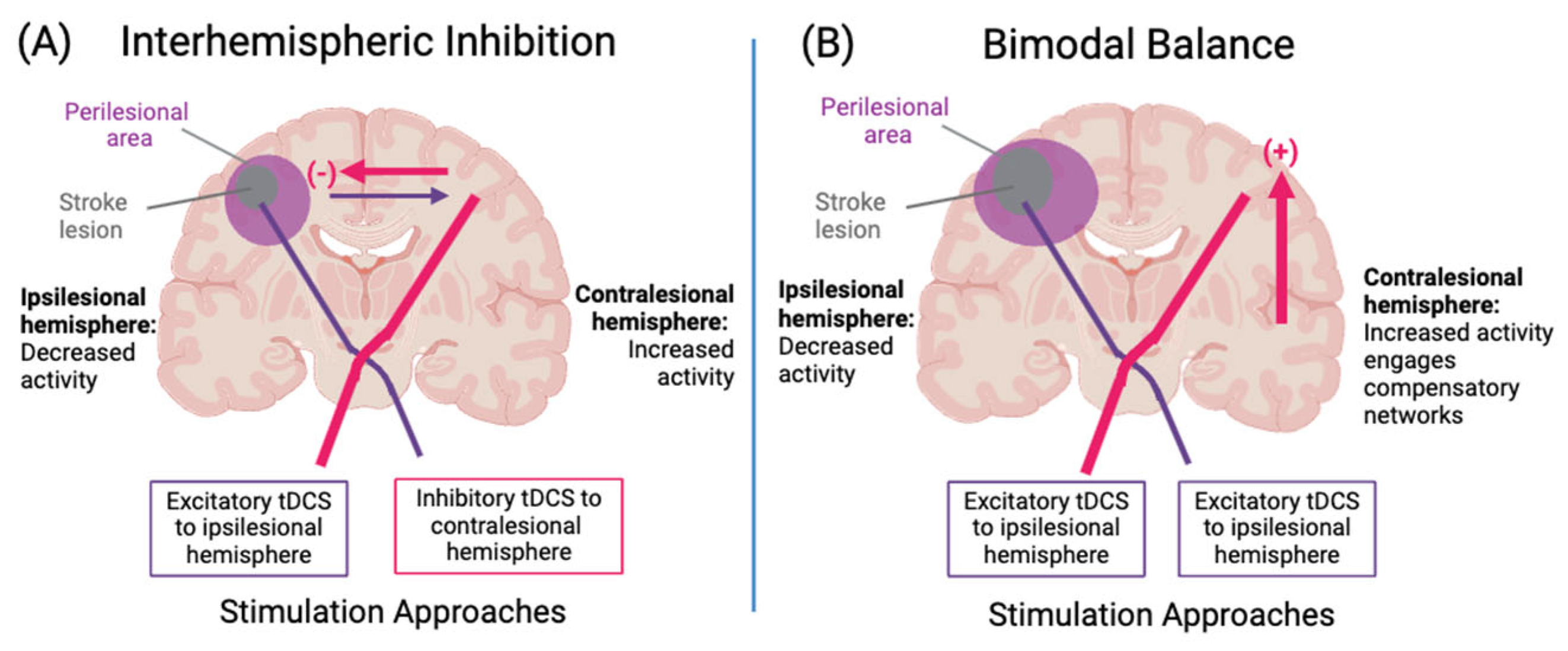 Brainsci 14 00614 g002