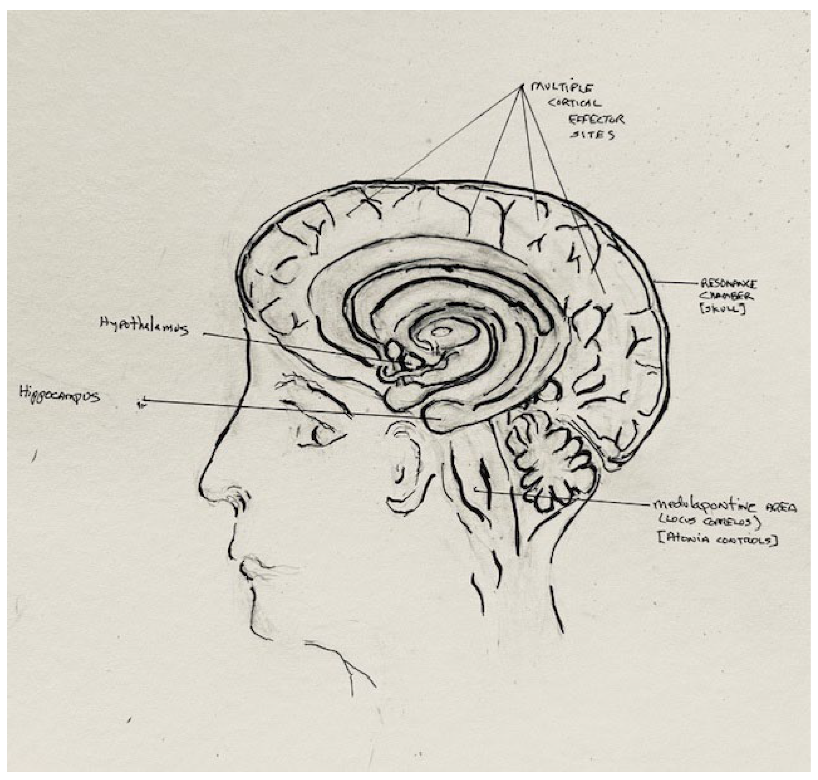 Brainsci 14 00622 g002 Brainsci 14 00622 g002