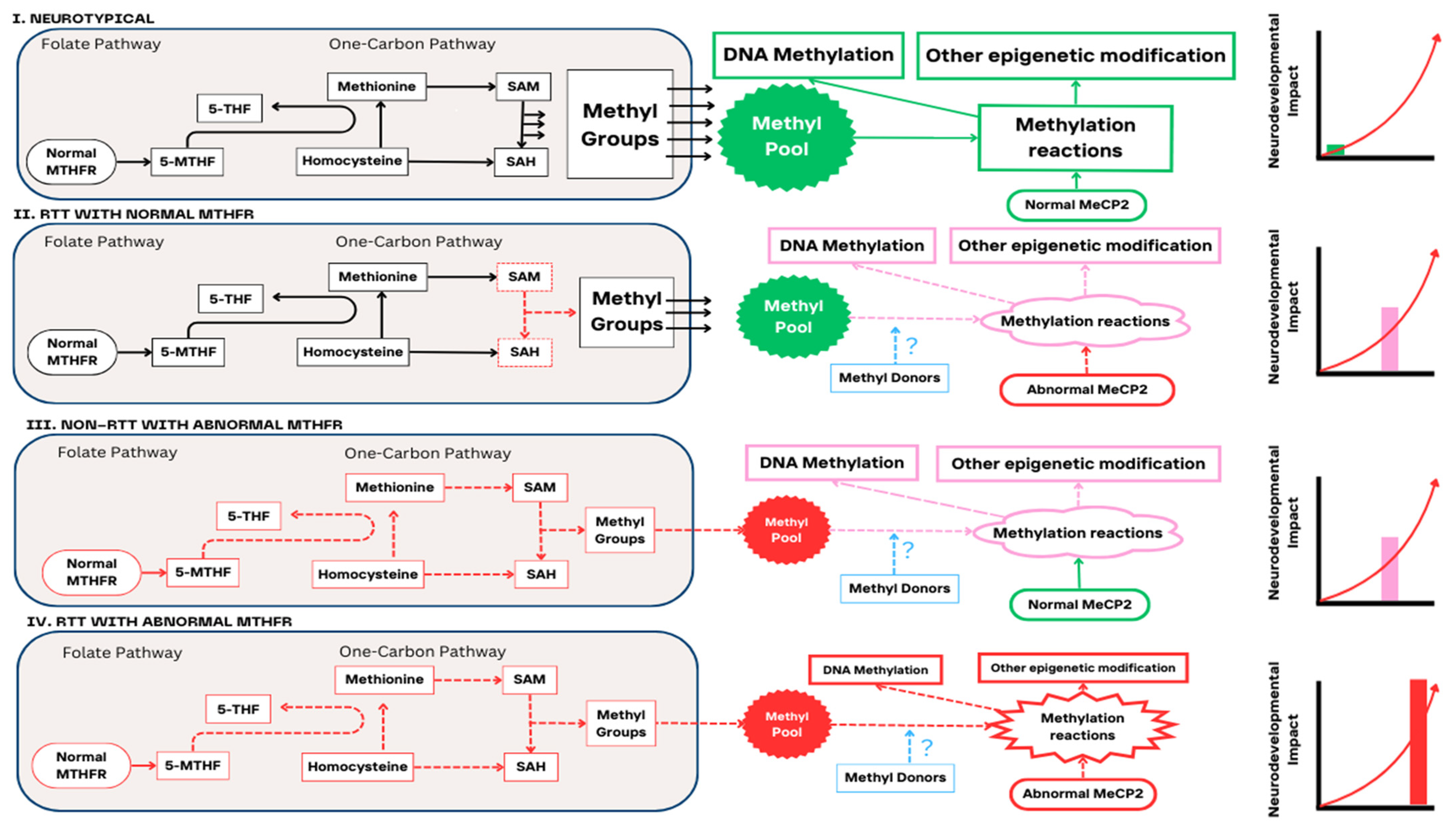 Brainsci 14 00624 g001 Brainsci 14 00624 g001