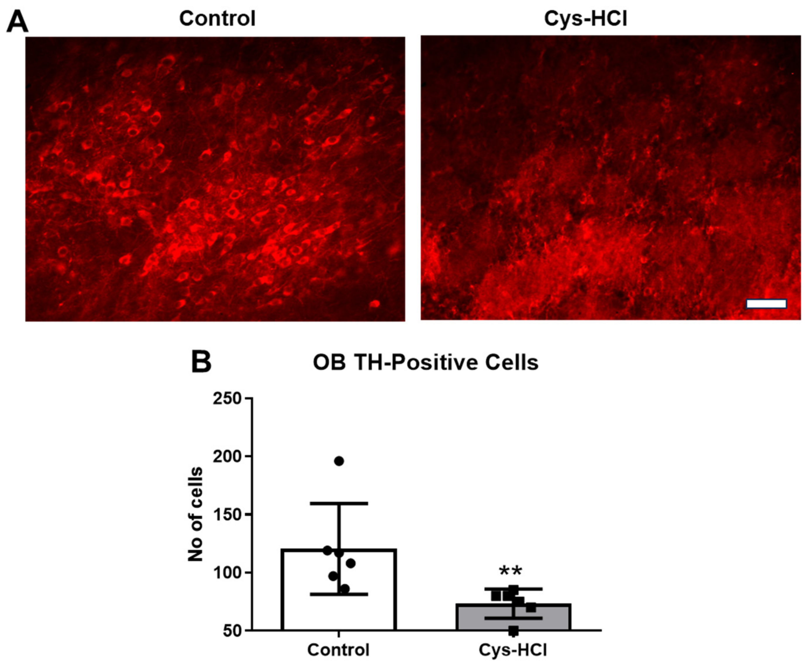 Brainsci 14 00632 g007