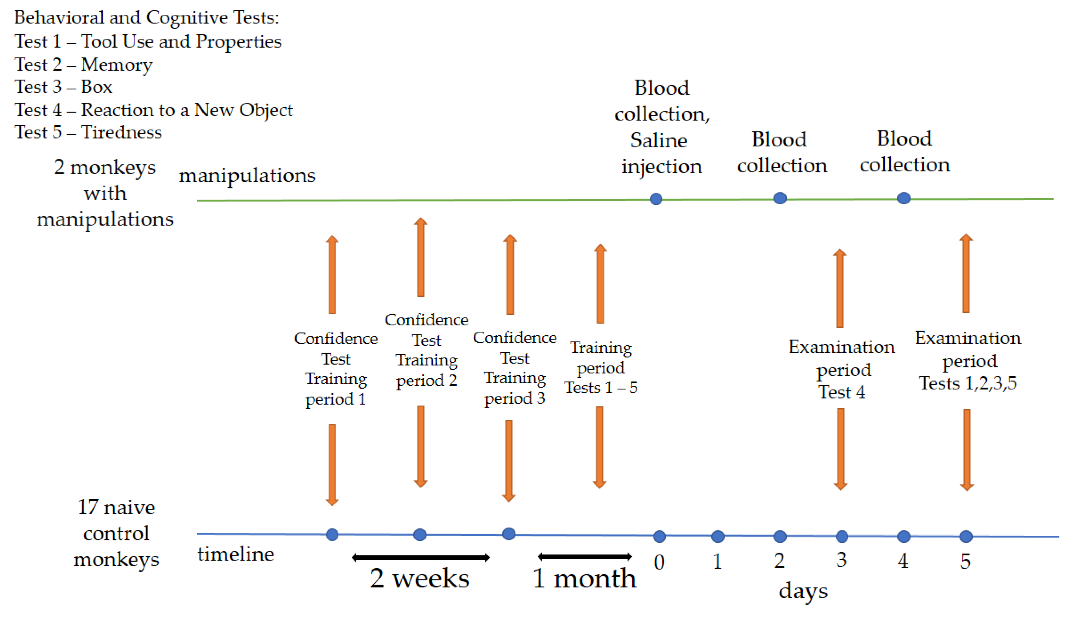 Brainsci 14 00635 g001