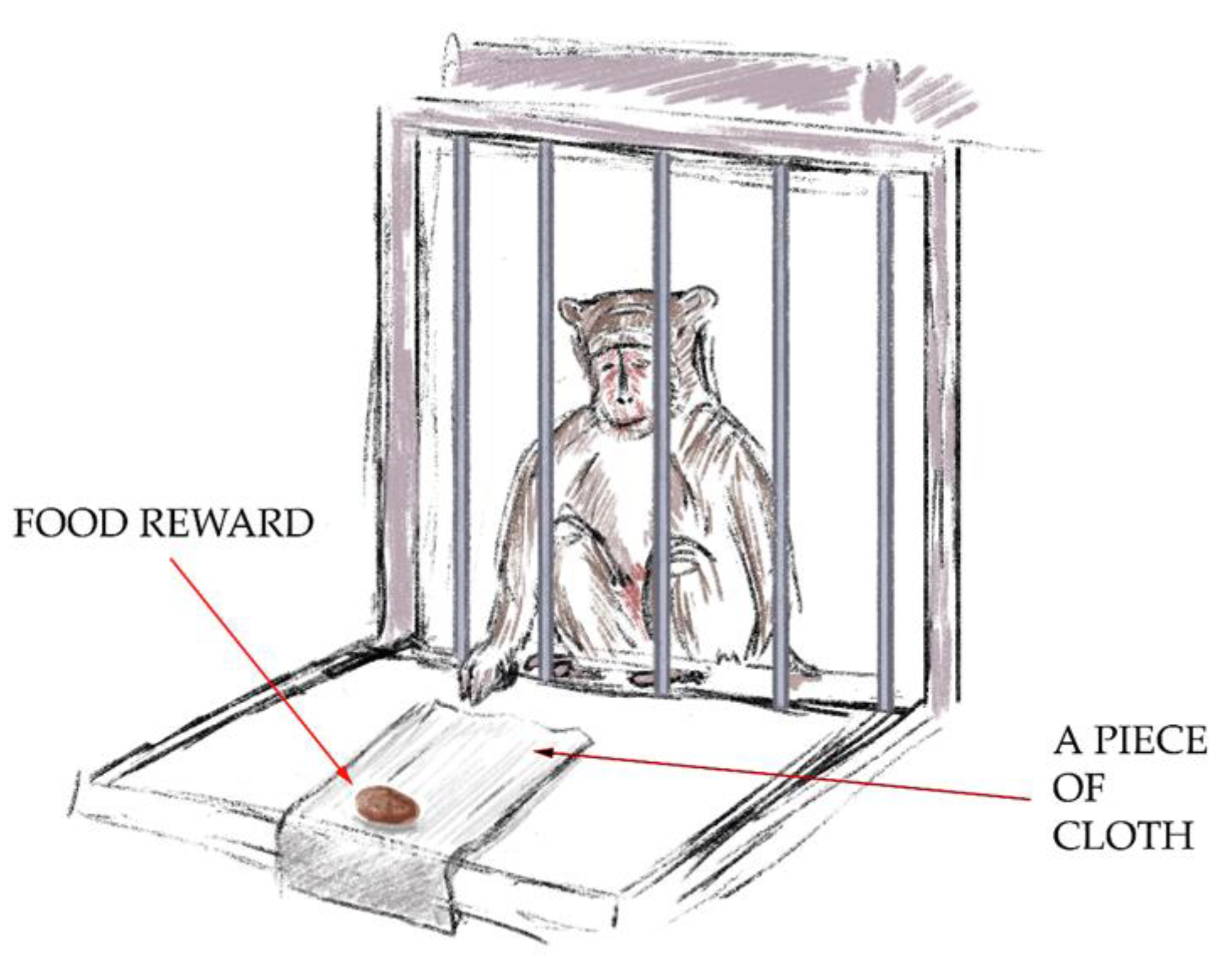 Brainsci 14 00635 g002