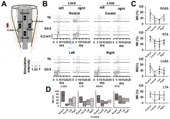 Brainsci 14 00650 g001