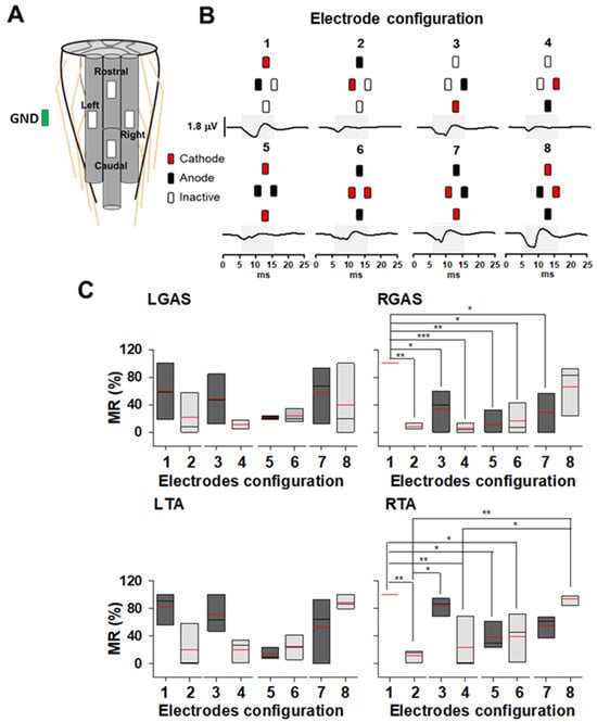 Brainsci 14 00650 g002