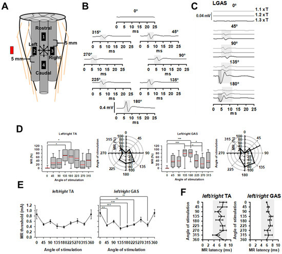 Brainsci 14 00650 g003