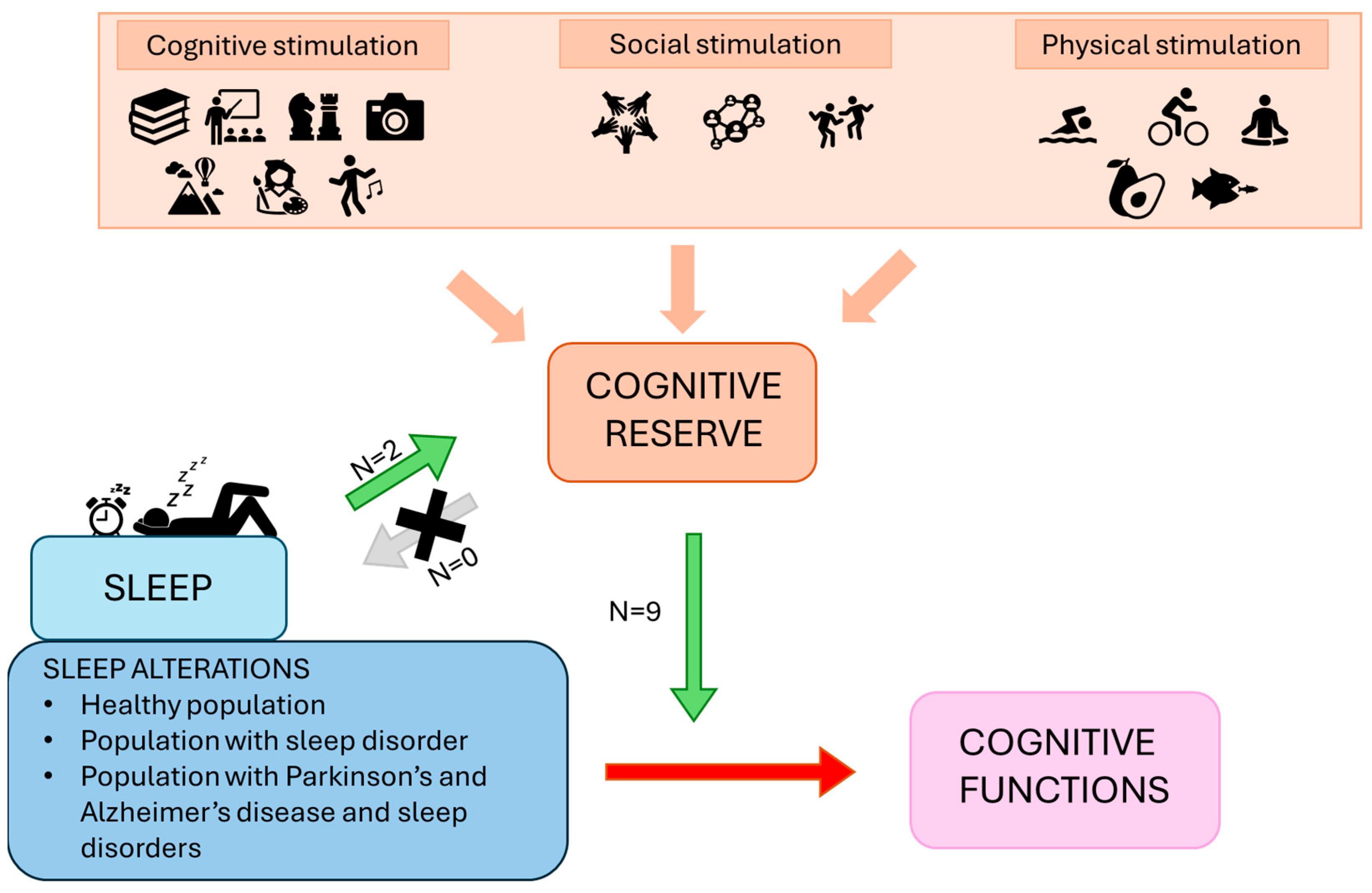Brainsci 14 00654 g002