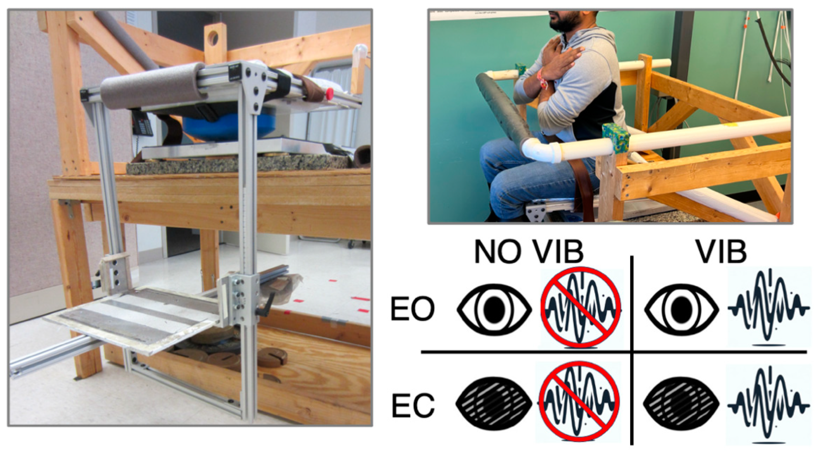 Brainsci 14 00657 g002 Brainsci 14 00657 g002