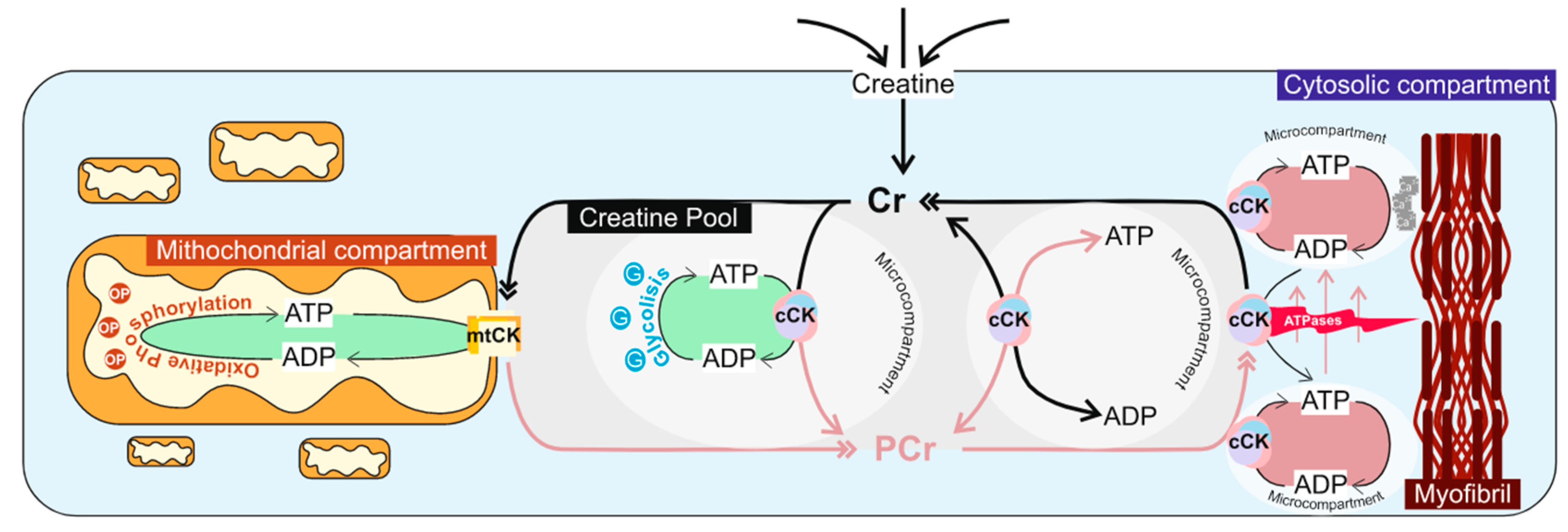 Brainsci 14 00661 g001