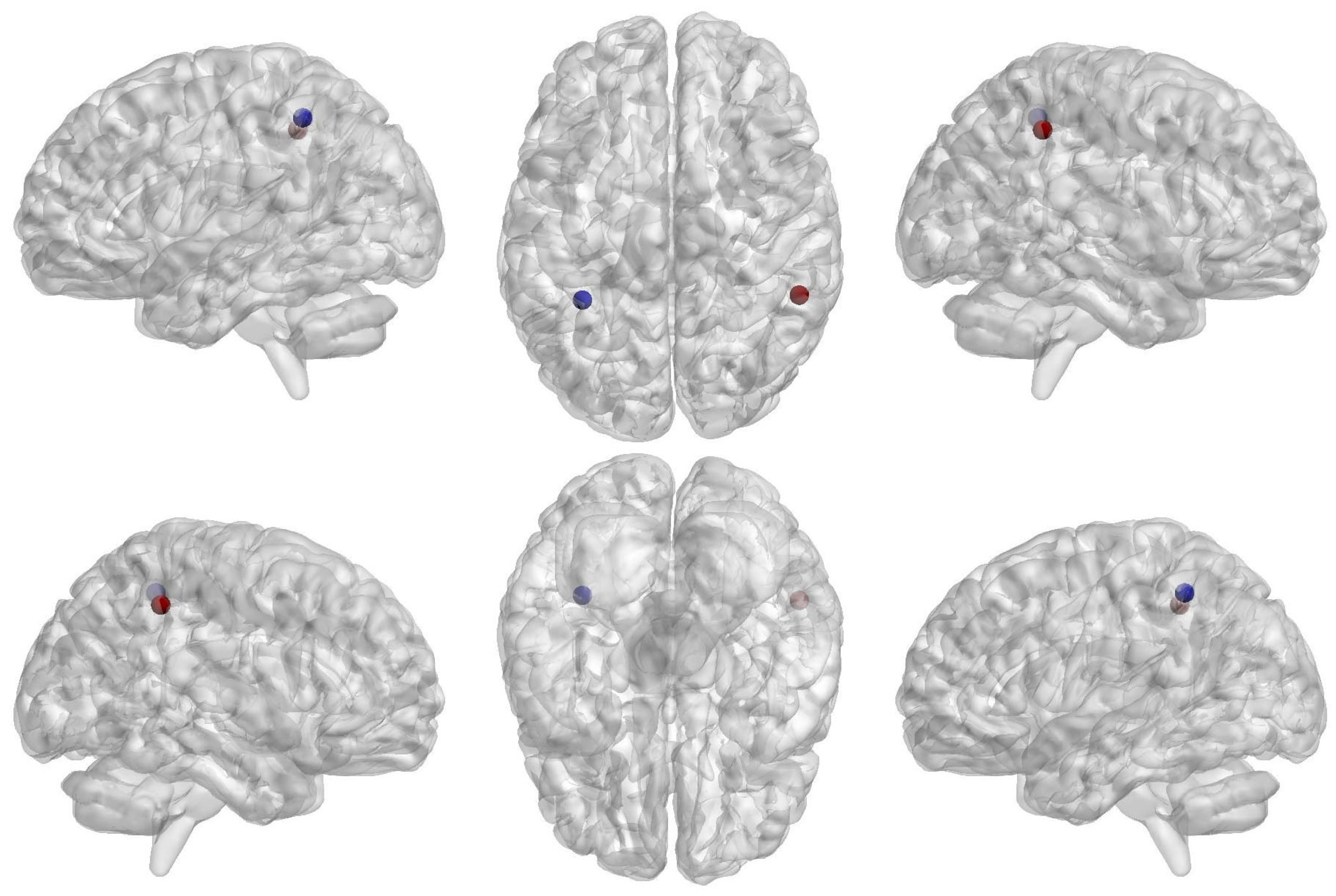 Brainsci 14 00685 g006