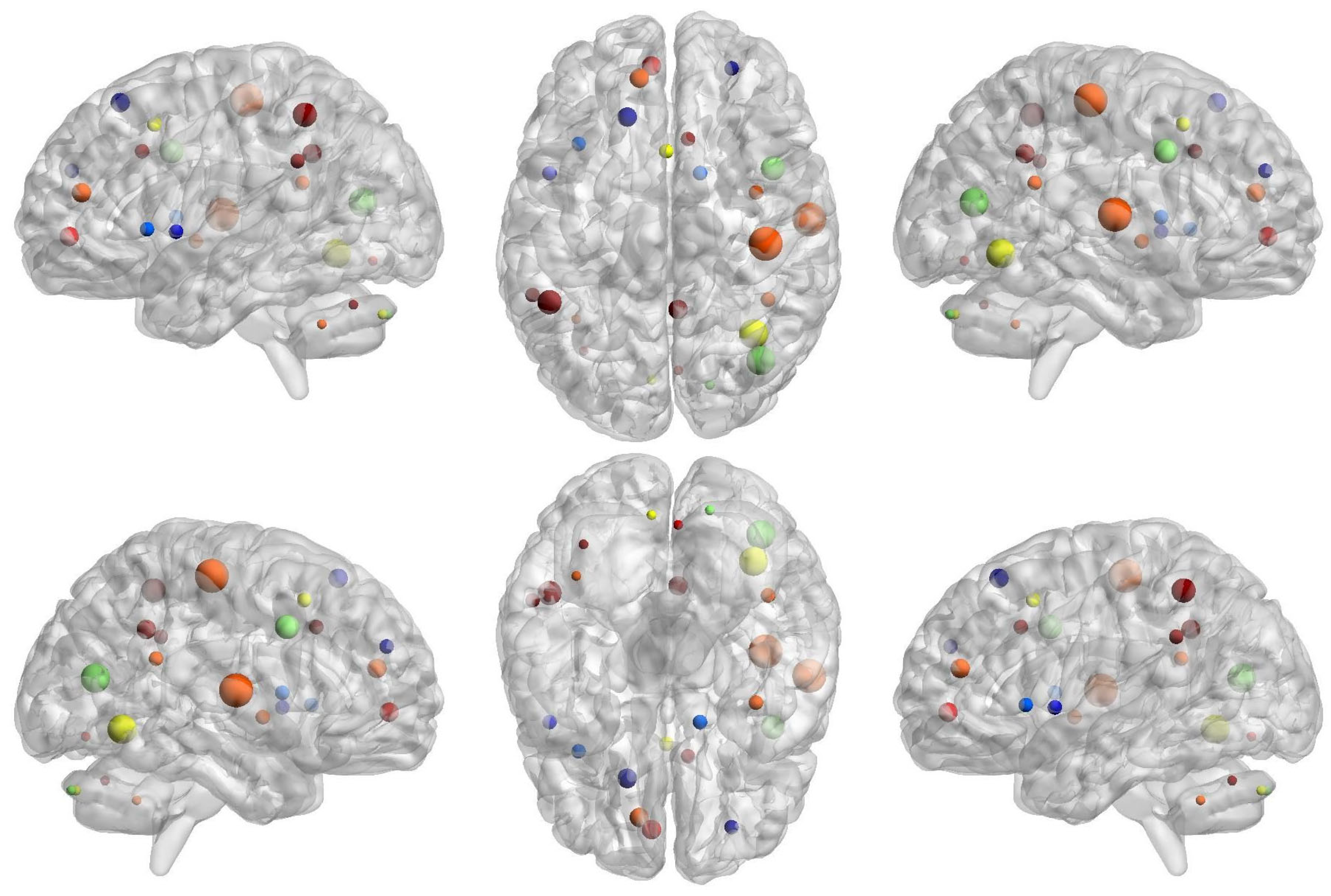 Brainsci 14 00685 g008